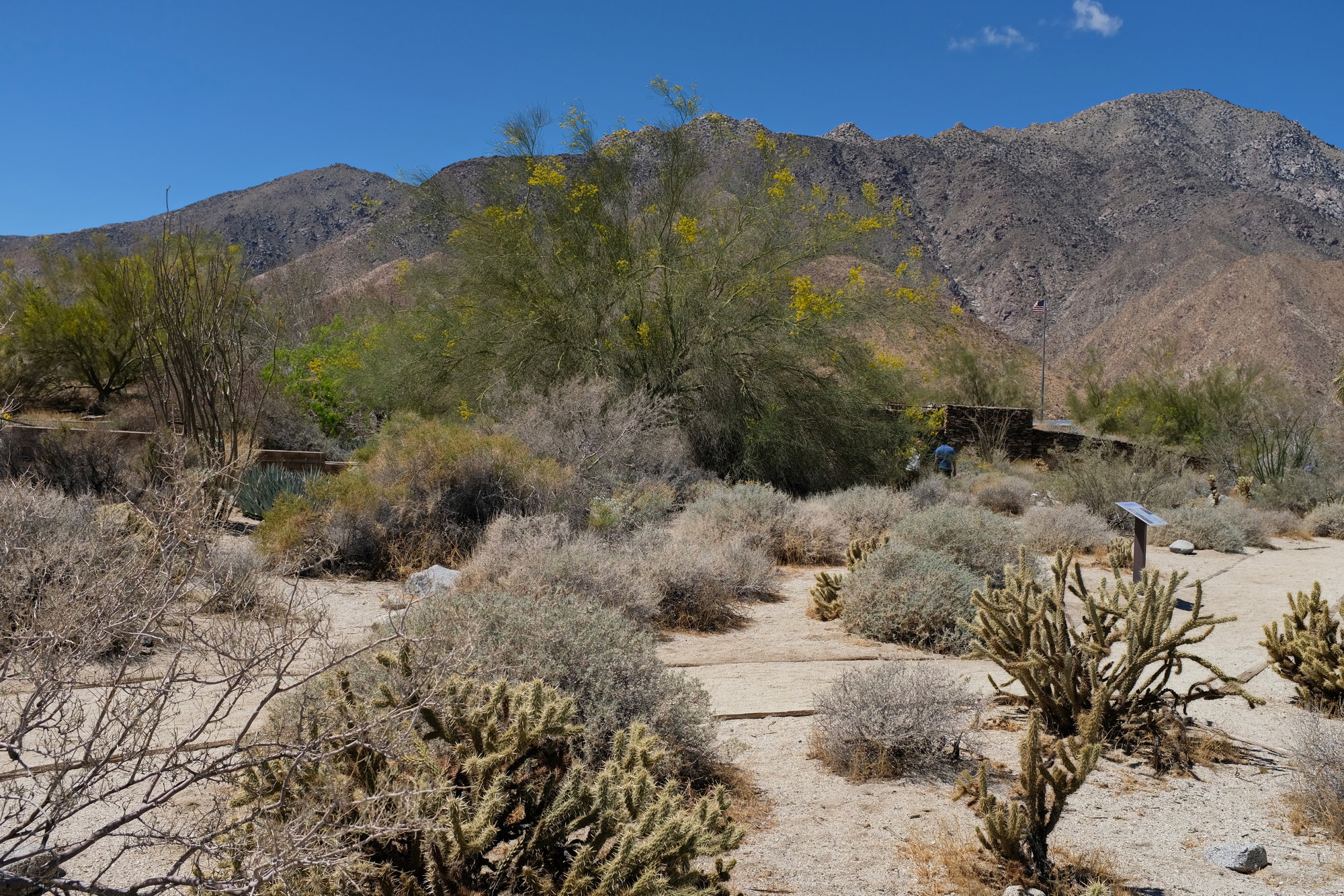 Anza-Borrego Desert SP & Julian (2)_resize