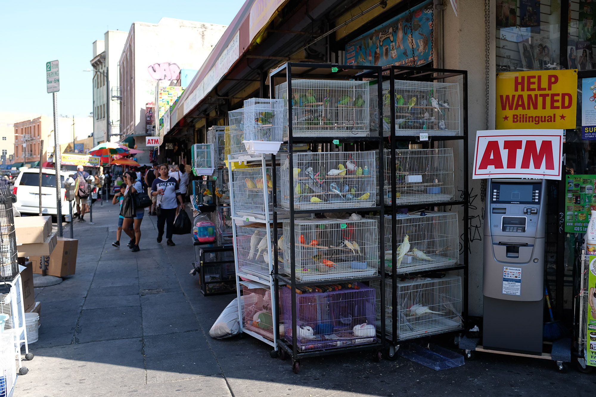 Hollywood & Bunker Hill (25)