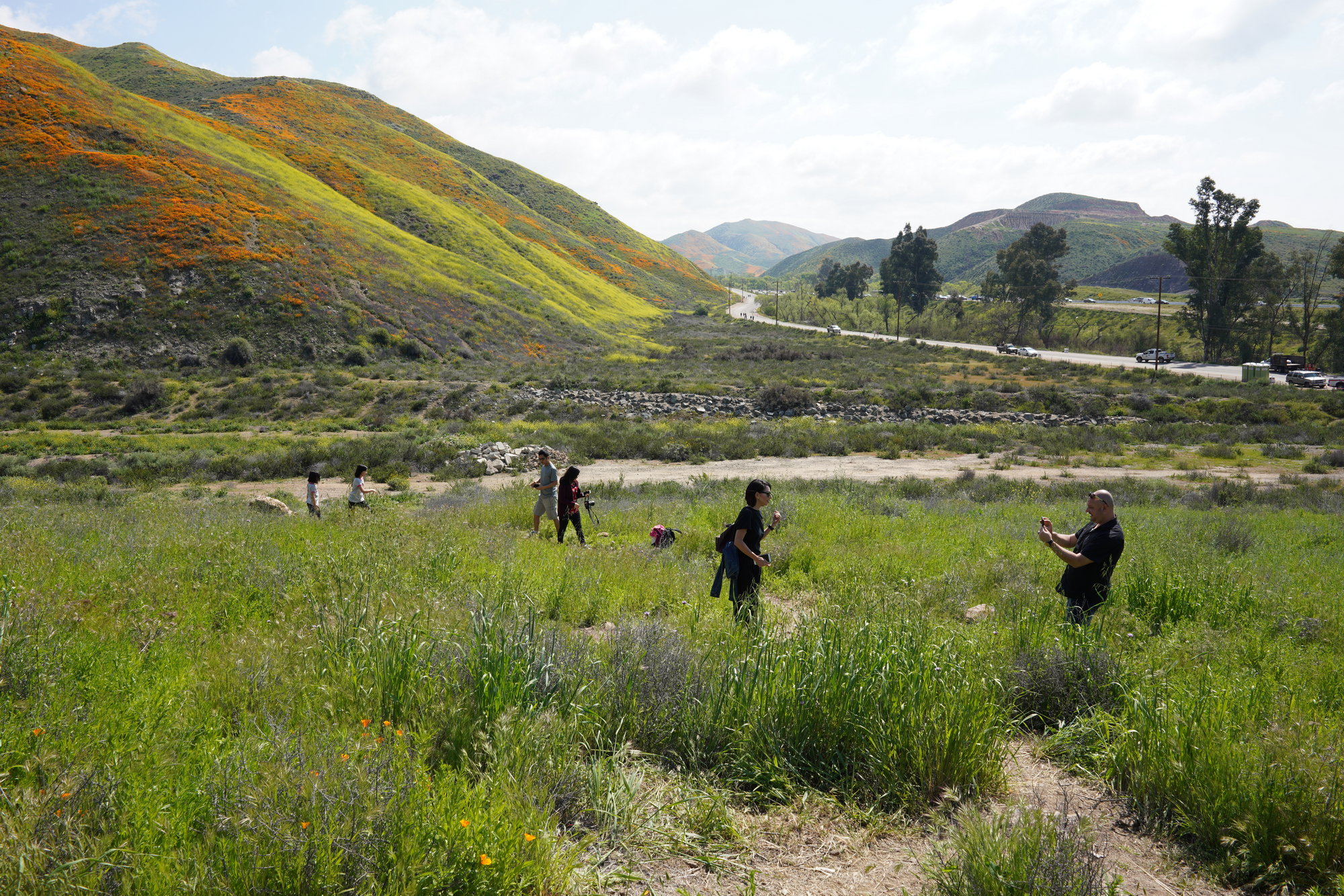 Lake Elsinore - Puppy Field (1)