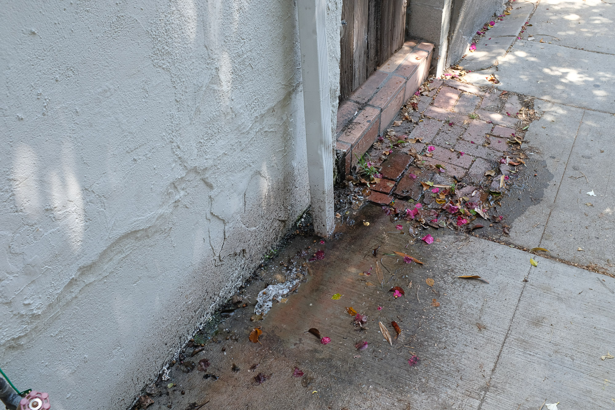 Lower Beachwood Canyon (7)