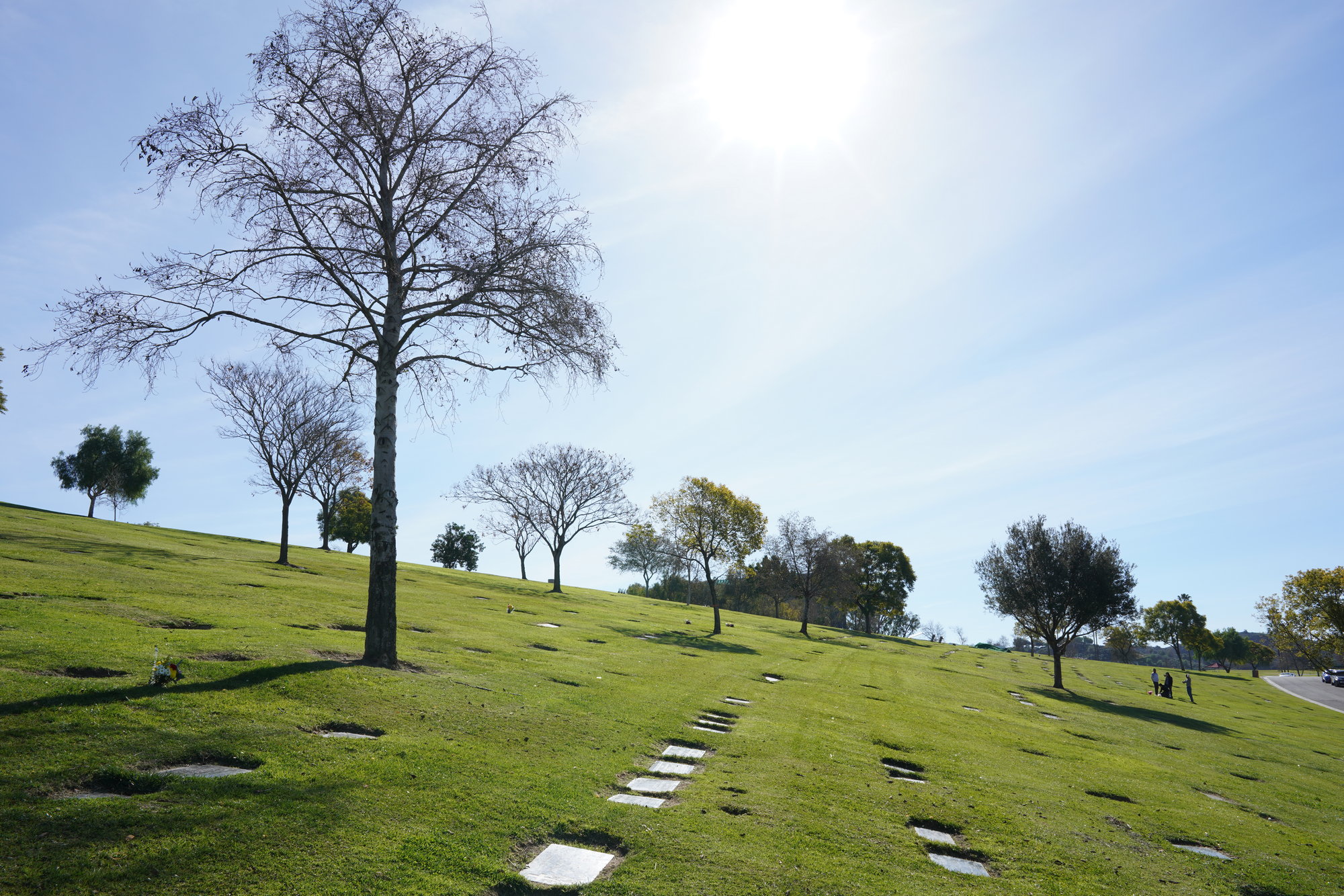 Rose Hill Memorial (1)