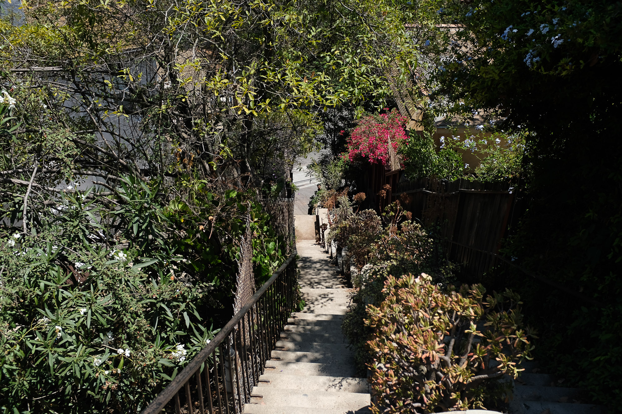 upper beachwood canyon (10)