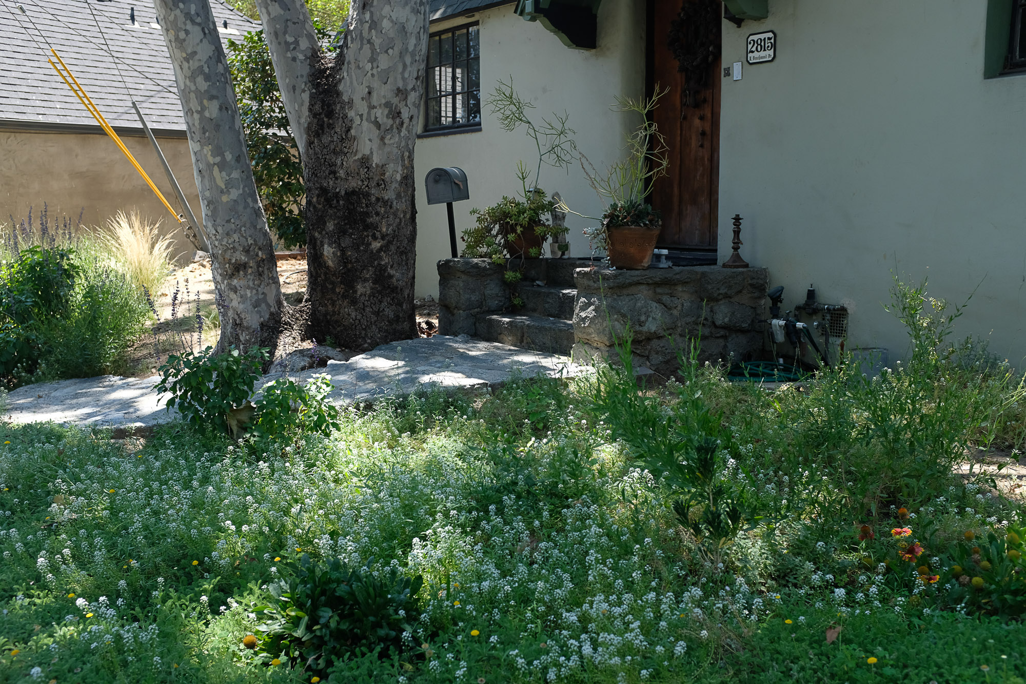 upper beachwood canyon (12)