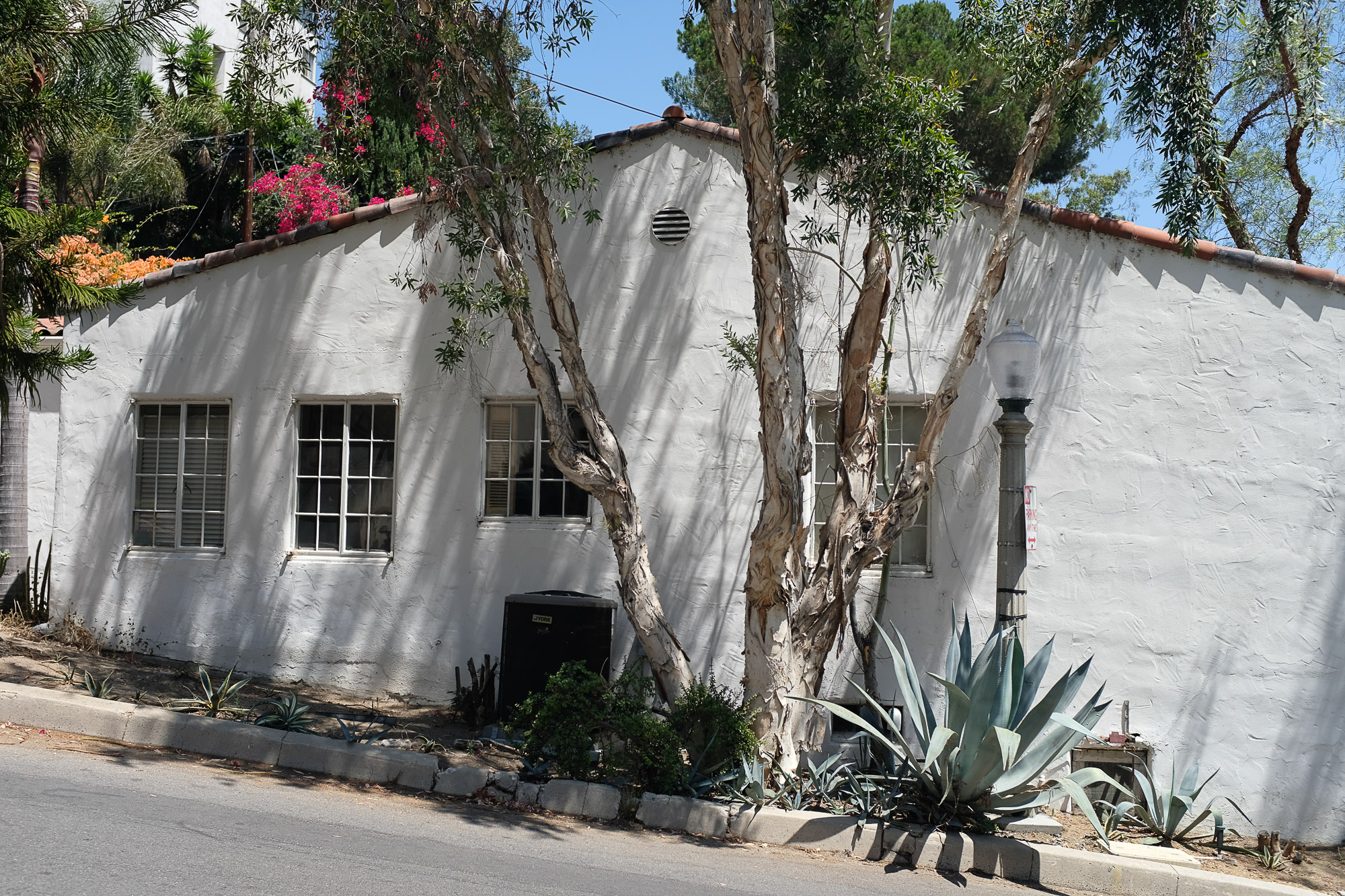 upper beachwood canyon (5)