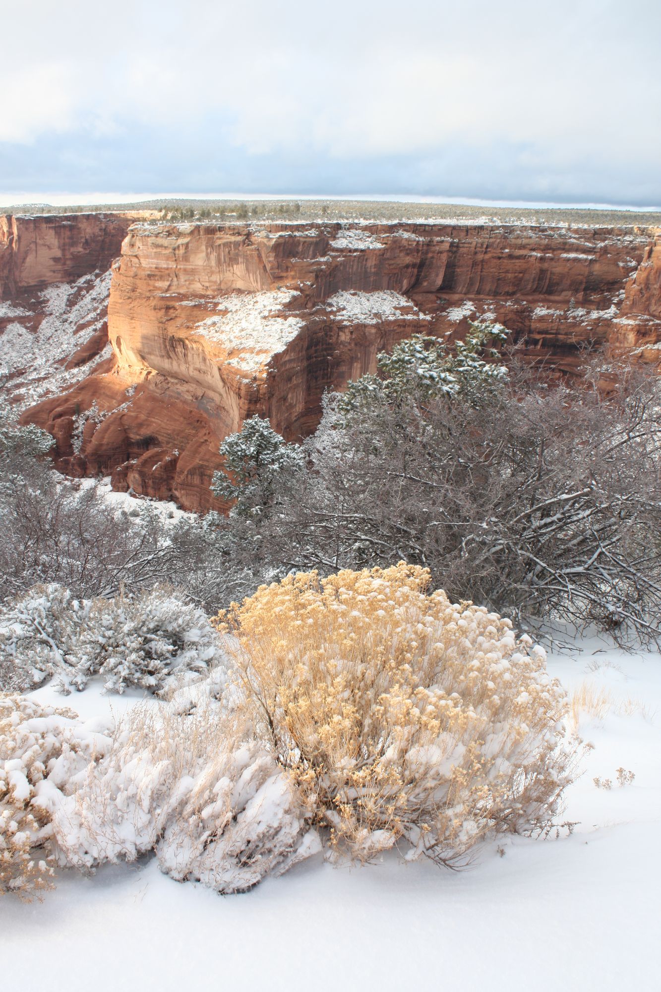 Canyon de Chelly (13)