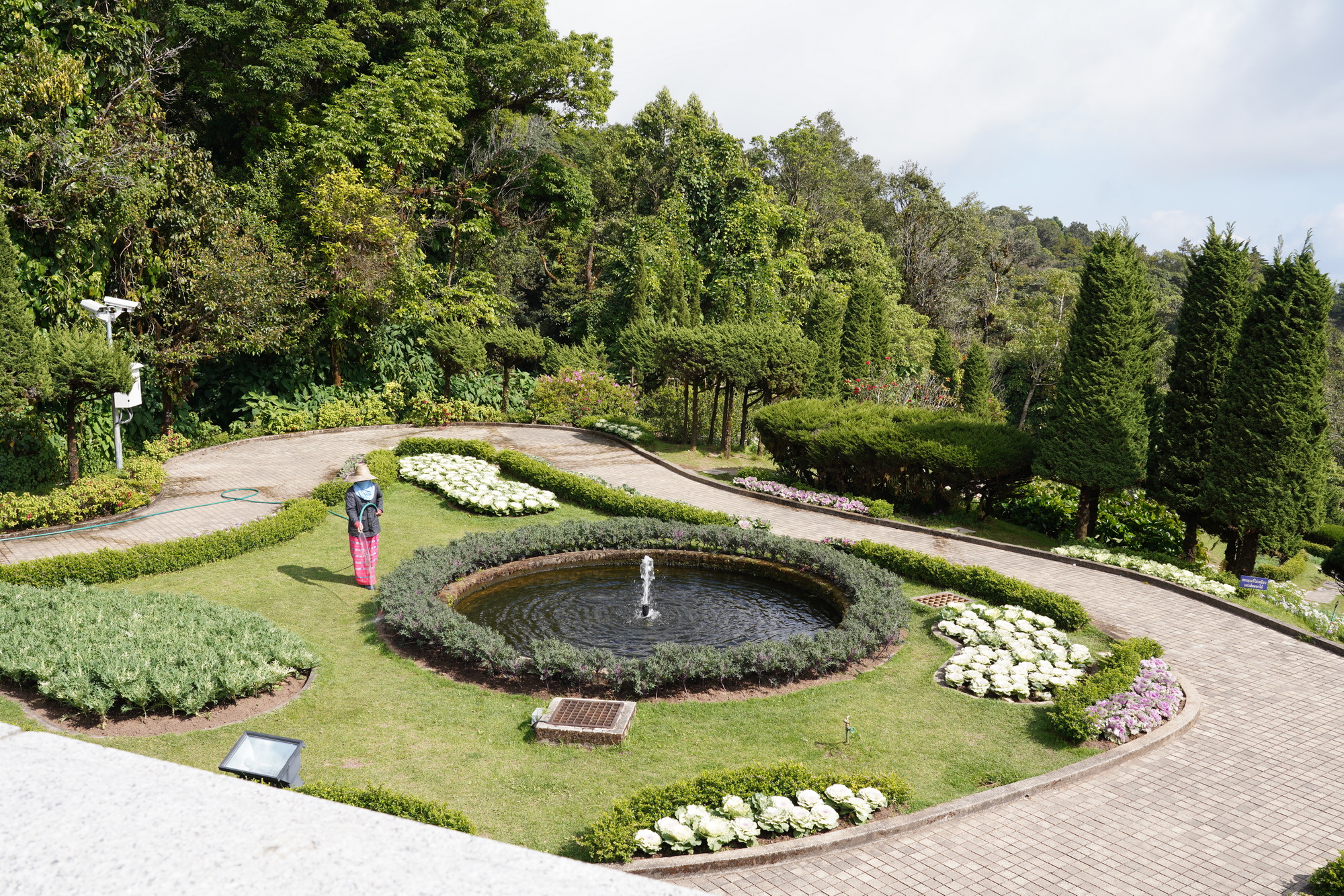 Chiang Mai - Doi Inthanon NP (12)