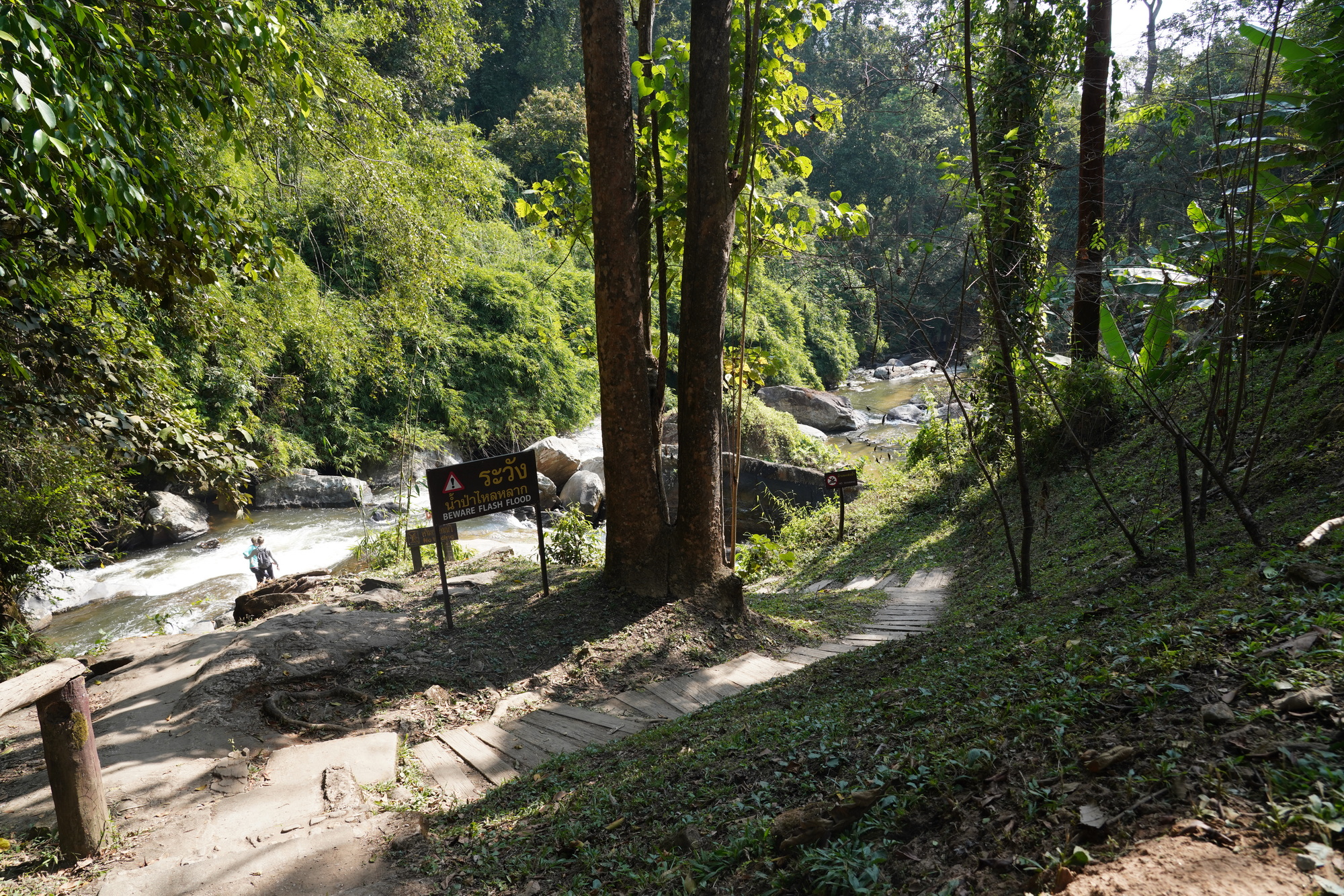 Chiang Mai - Doi Inthanon NP (2)