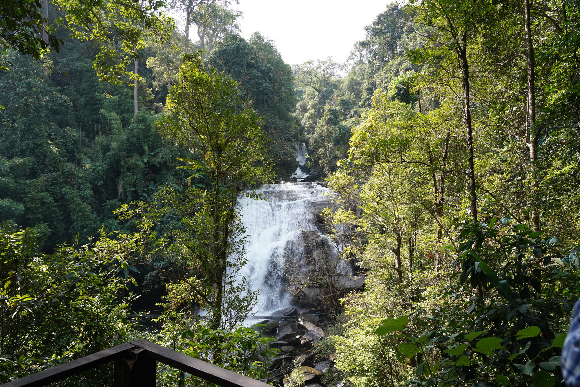 Chiang Mai - Doi Inthanon NP (3)