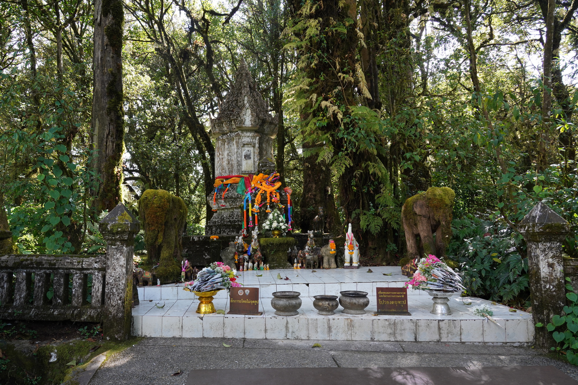 Chiang Mai - Doi Inthanon NP (5)
