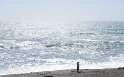 California Central Coast Trip, USA