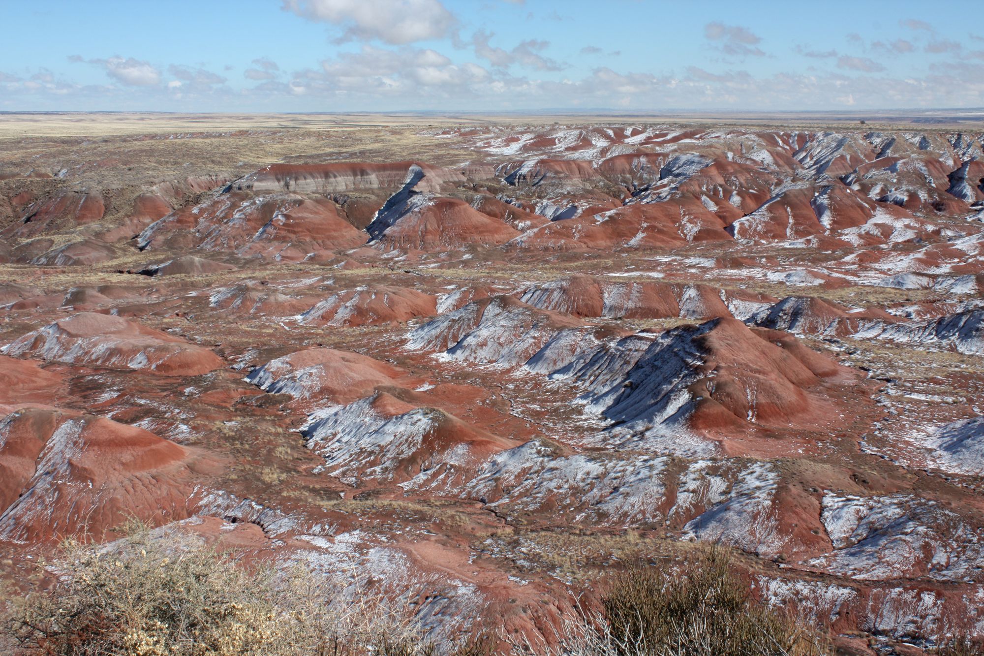 Petrified Forest (1)