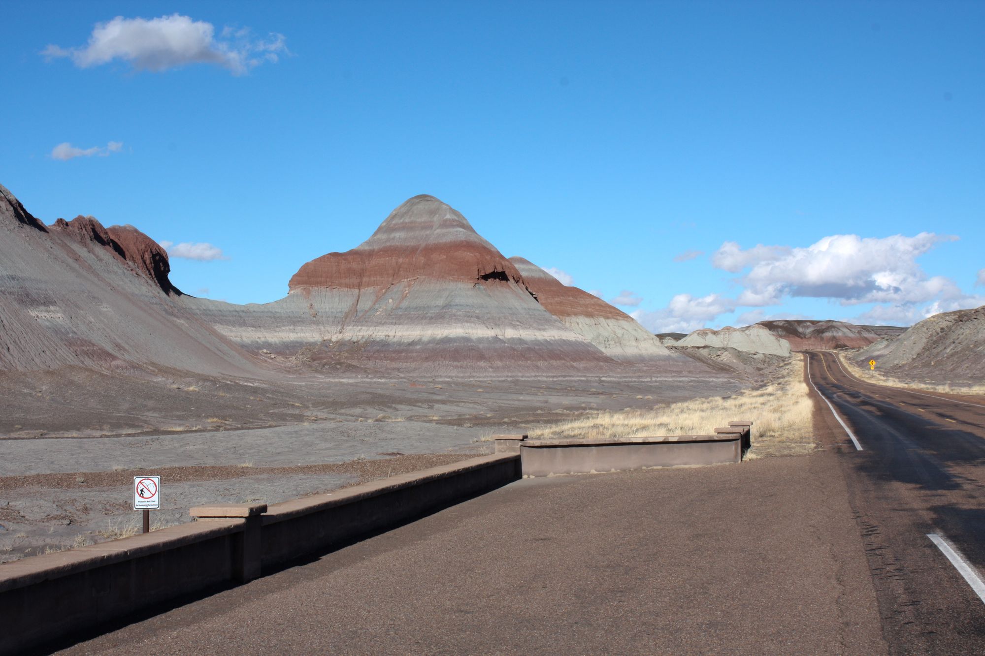Petrified Forest (10)