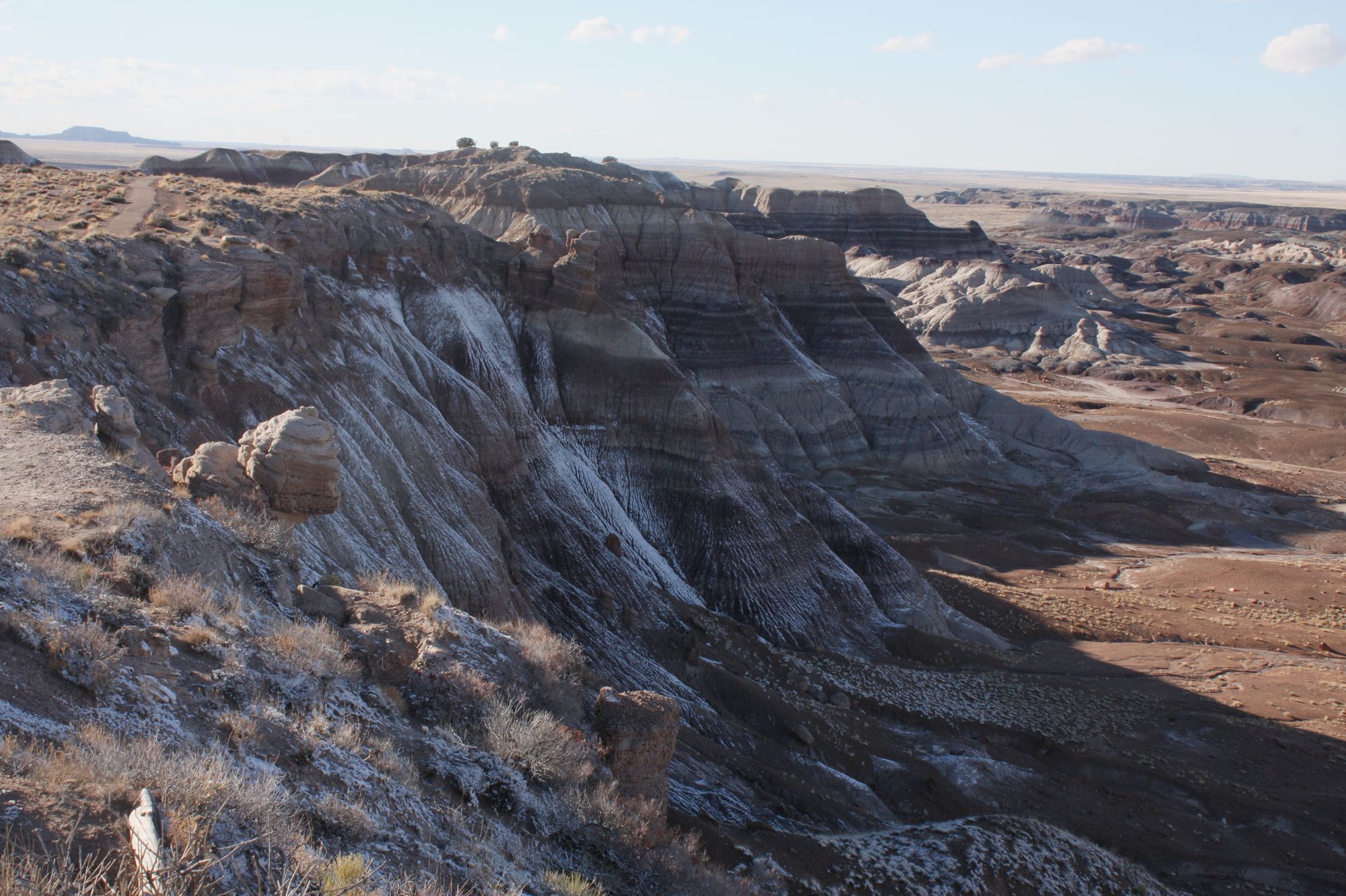 Petrified Forest (11)