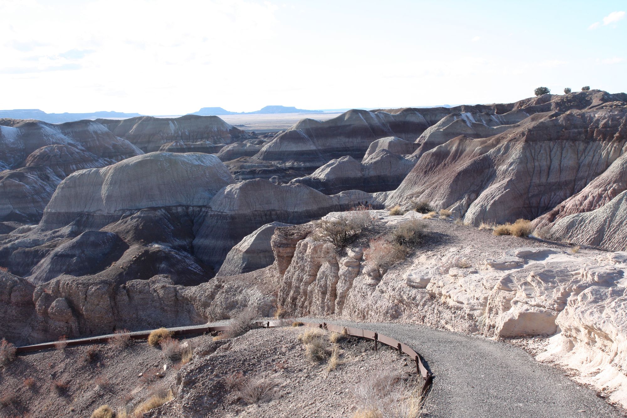 Petrified Forest (12)