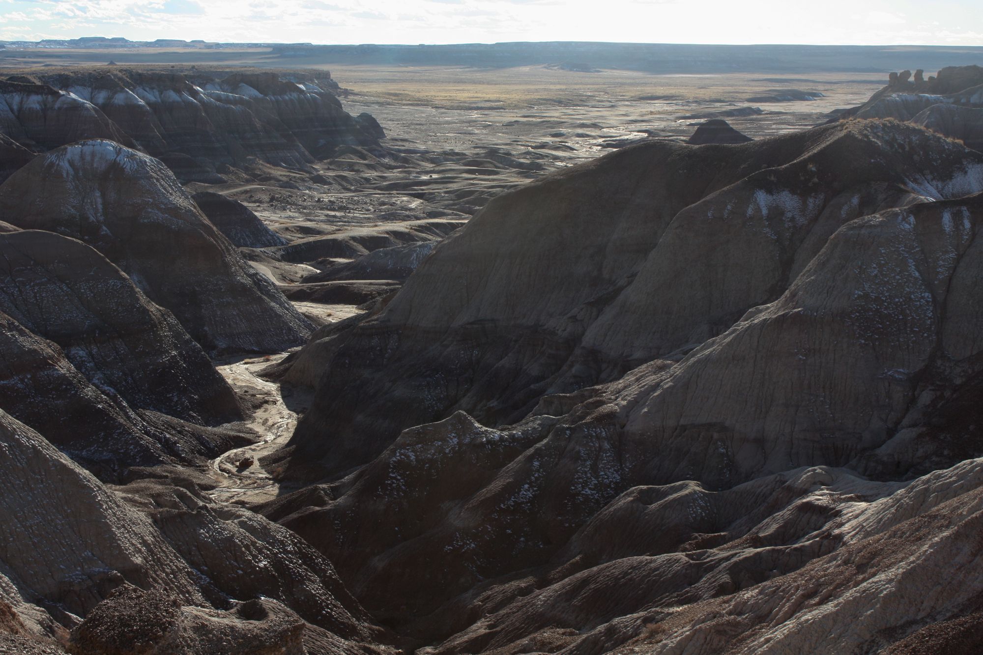 Petrified Forest (13)
