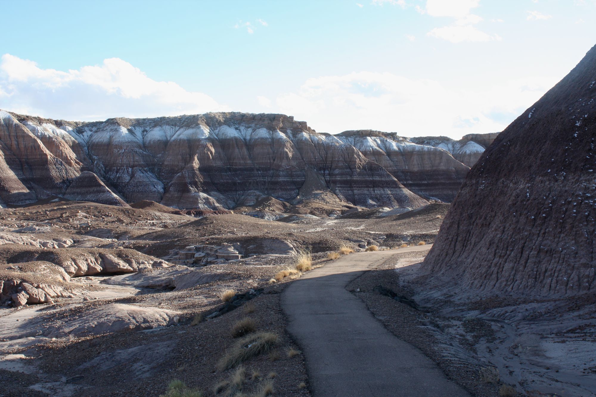 Petrified Forest (18)