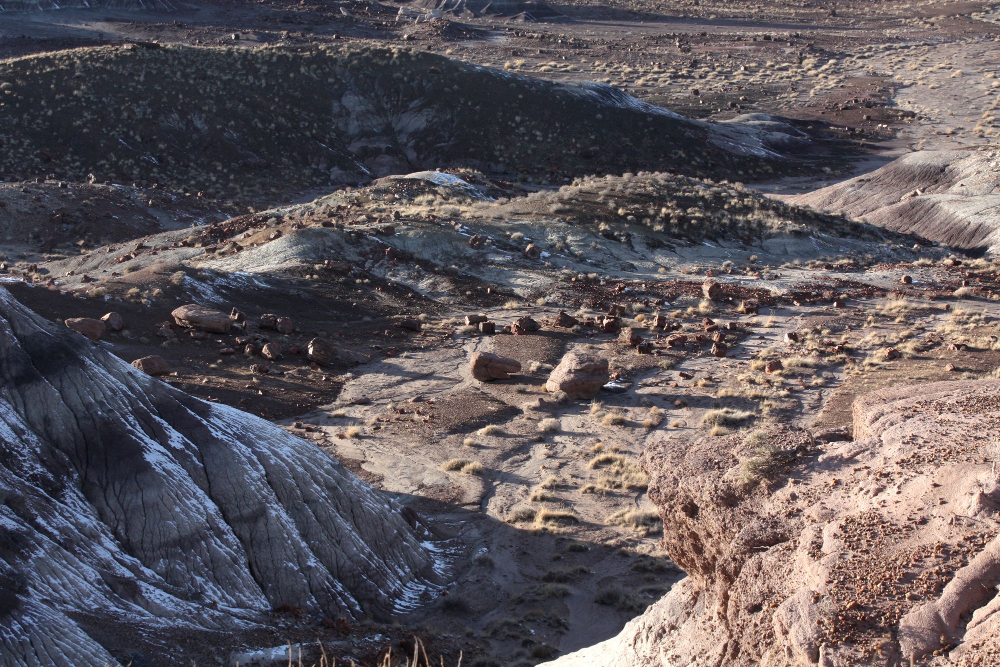 Petrified Forest (19)