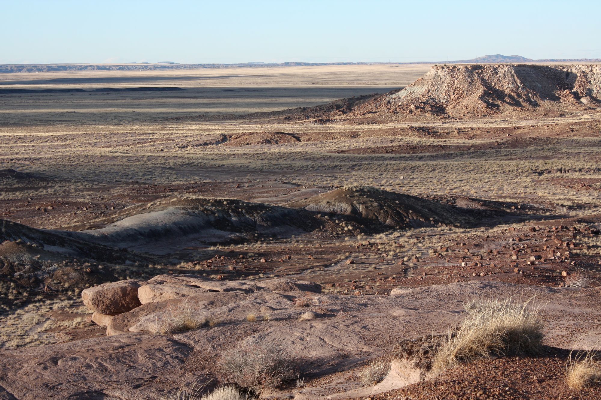 Petrified Forest (20)