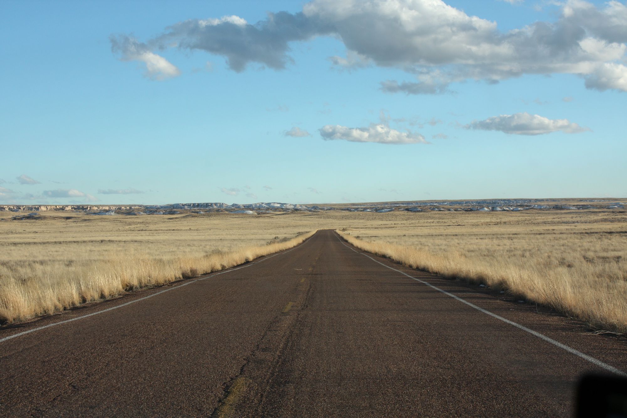 Petrified Forest (21)