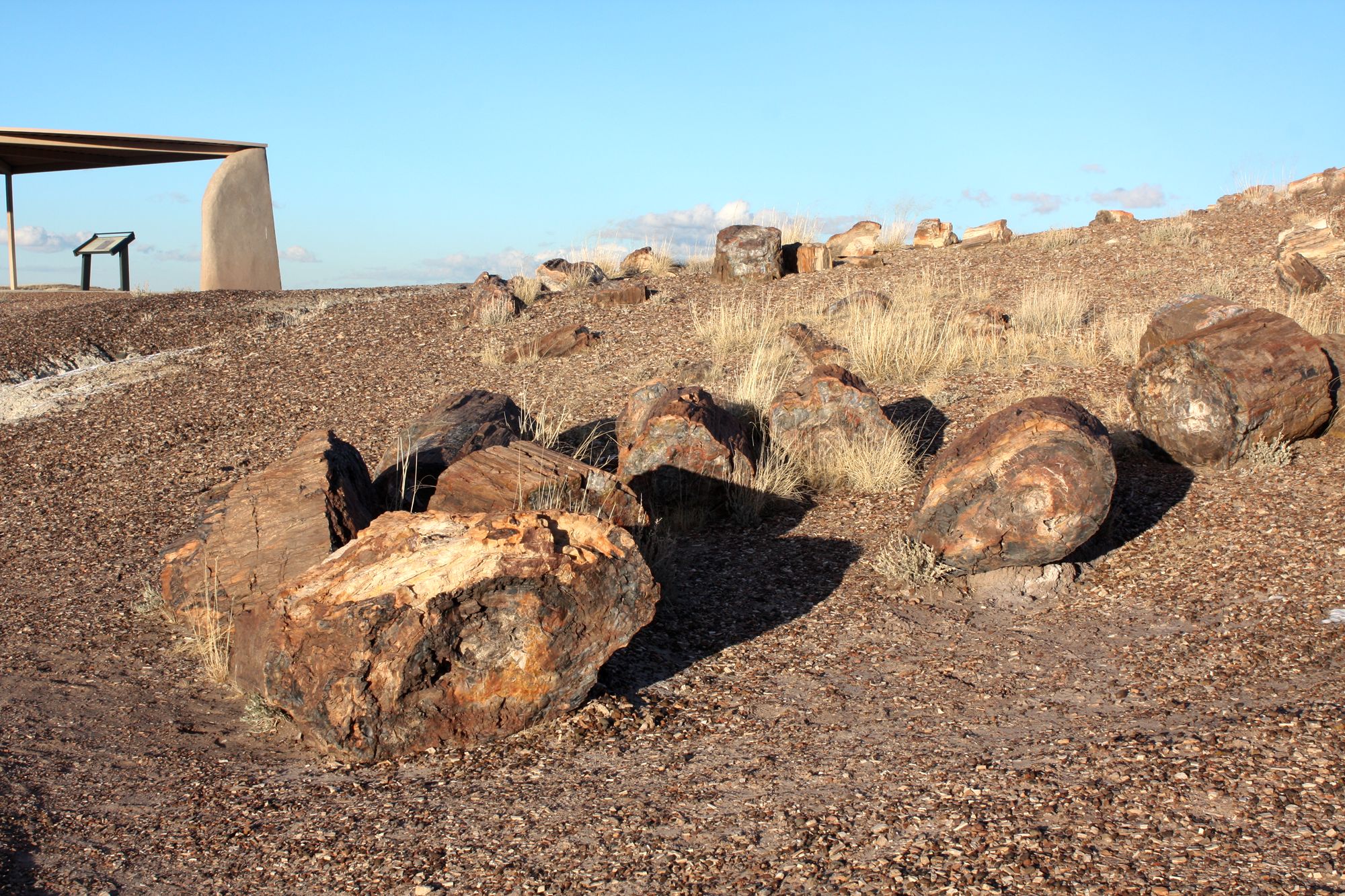 Petrified Forest (23)