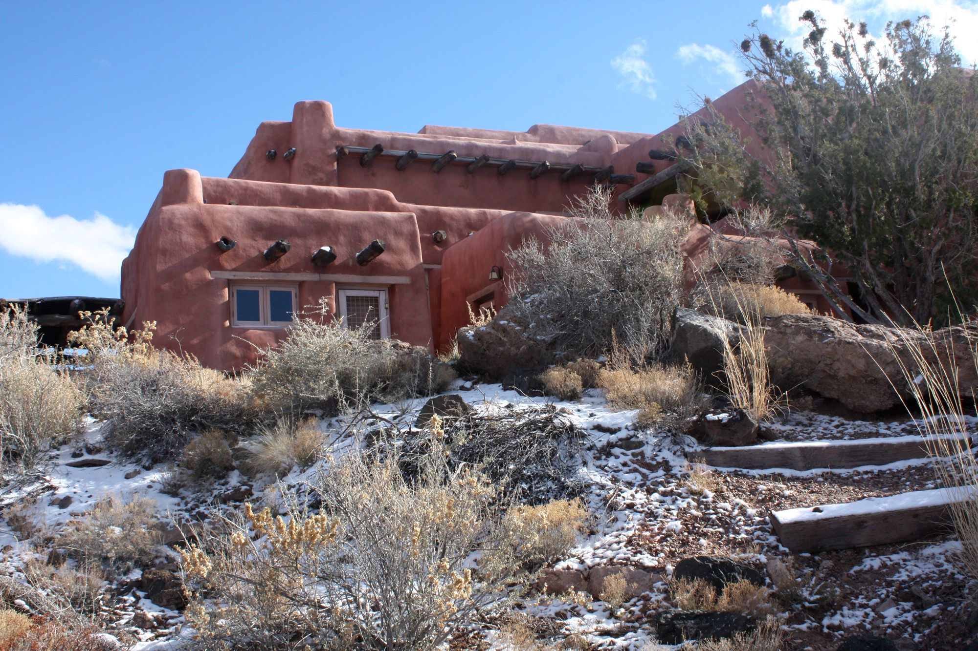 Petrified Forest (3)