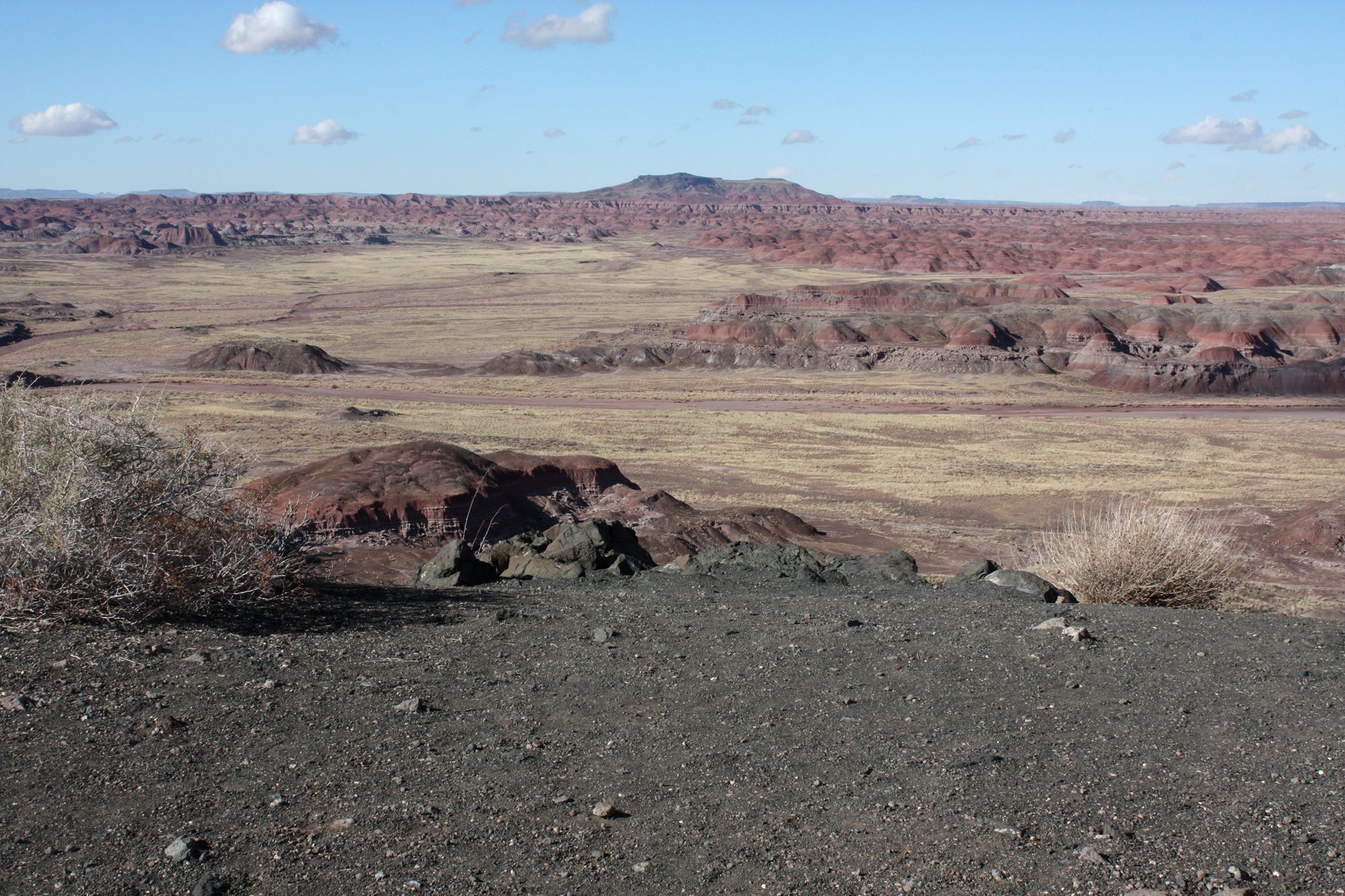 Petrified Forest (5)