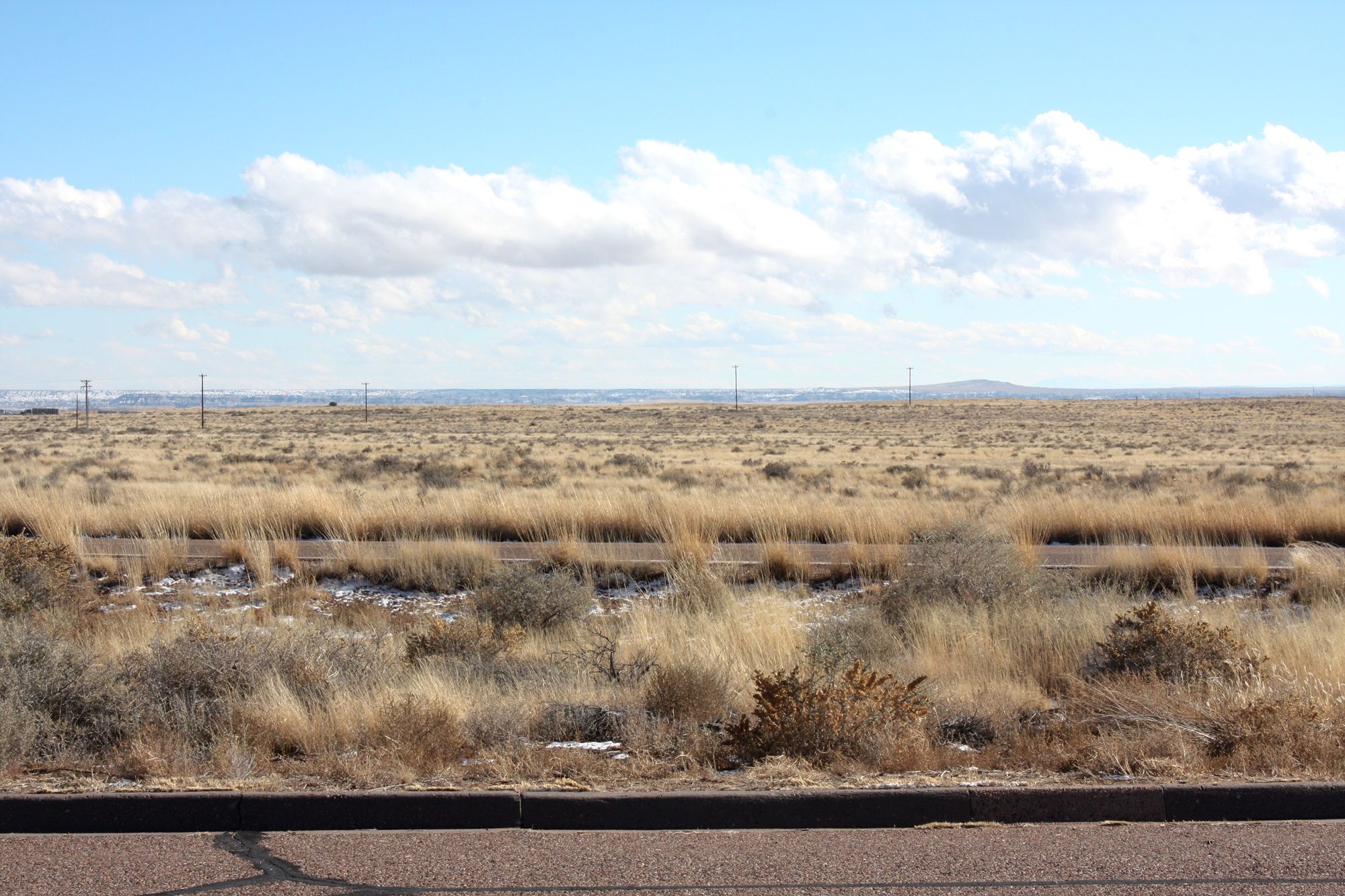 Petrified Forest (6)