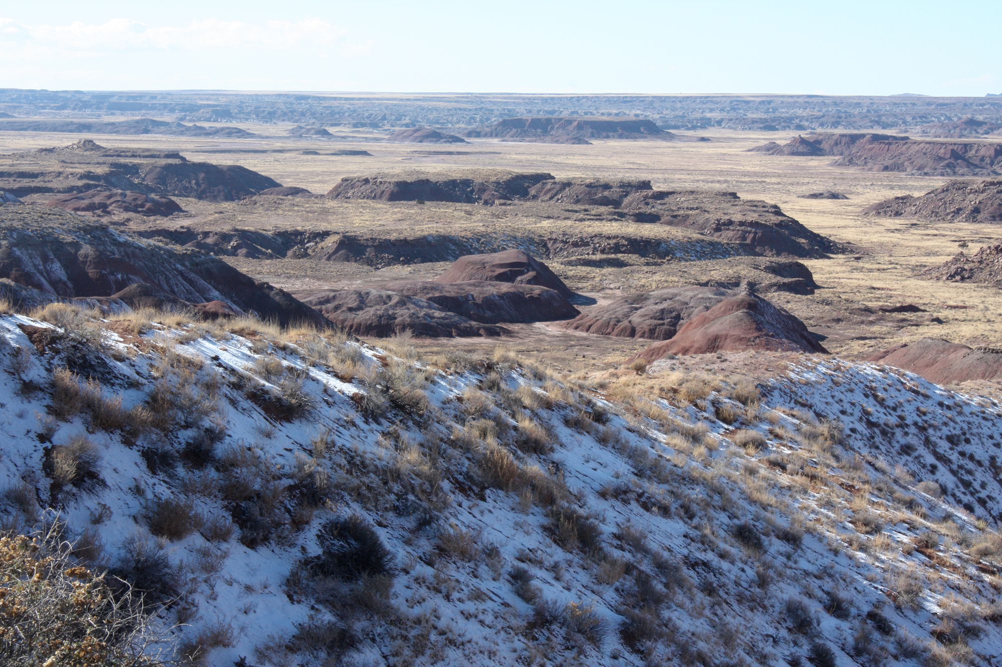 Petrified Forest (7)