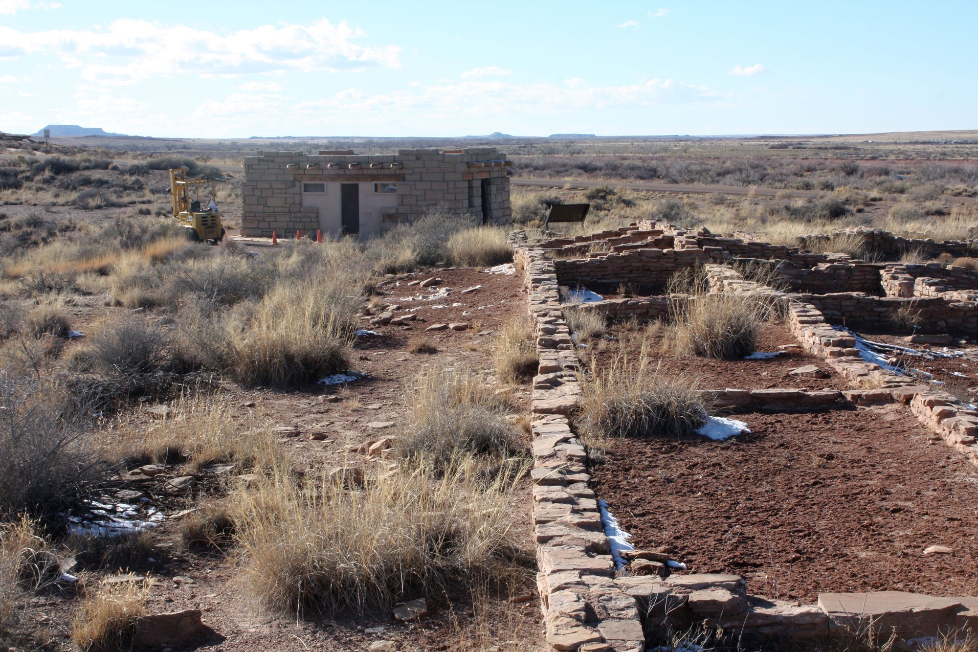 Petrified Forest (8)