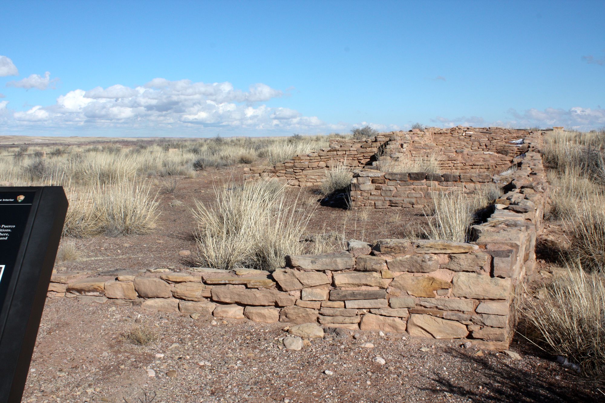 Petrified Forest (9)