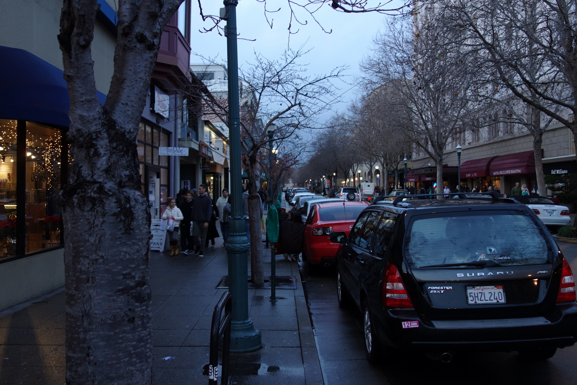 Santa Cruz & San Francisco (10)