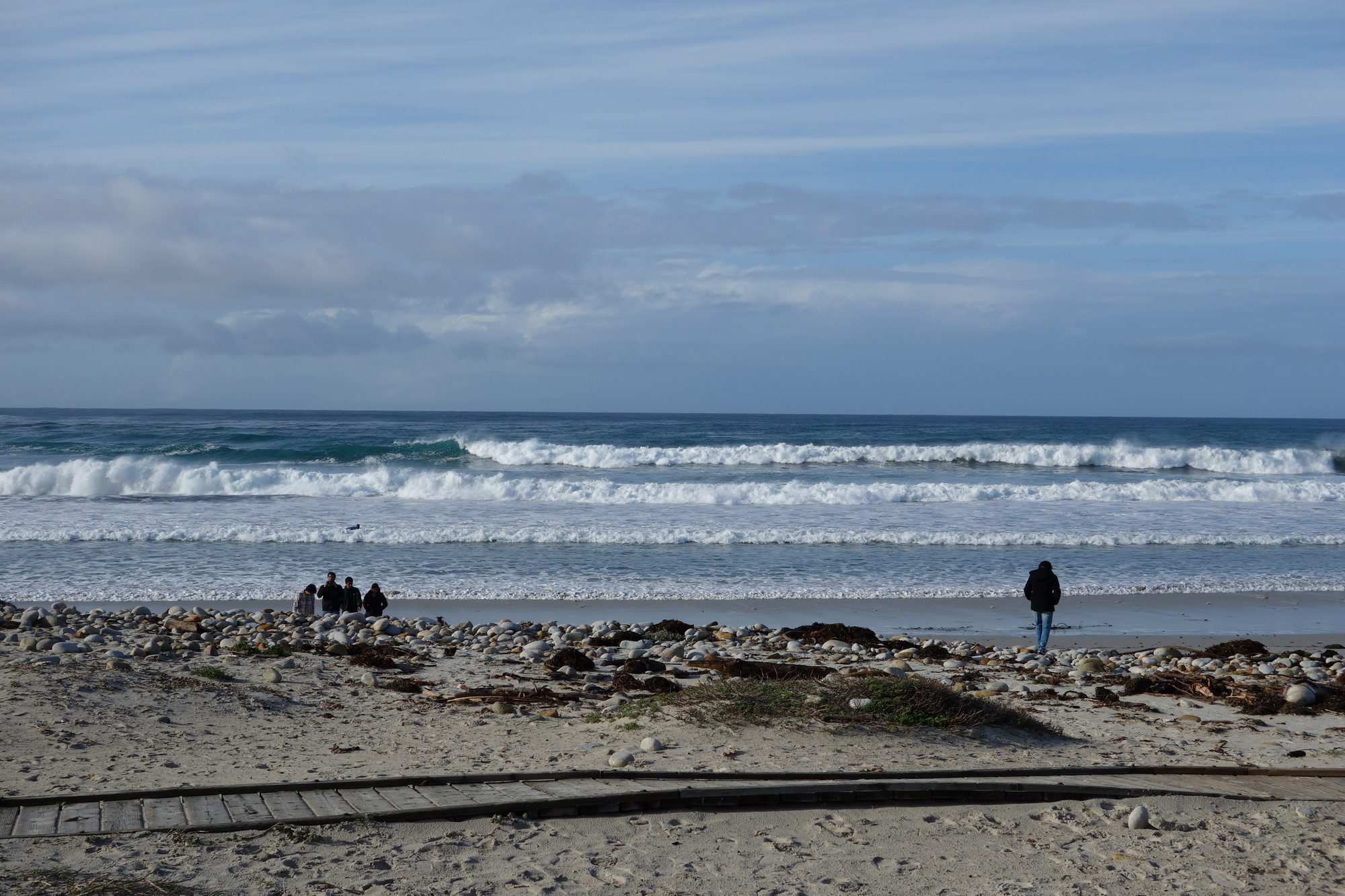 Santa Cruz & San Francisco (3)