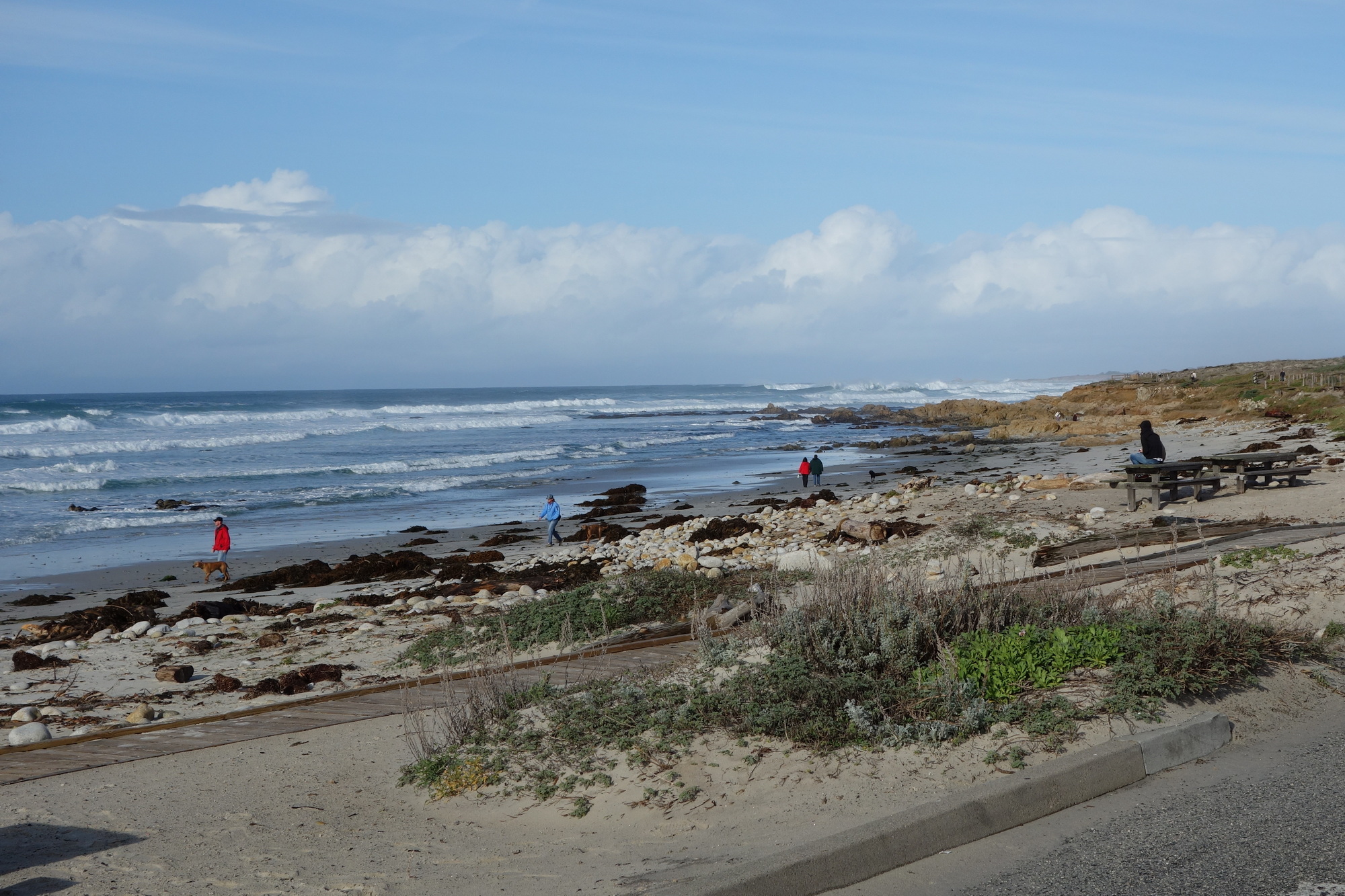 Santa Cruz & San Francisco (4)