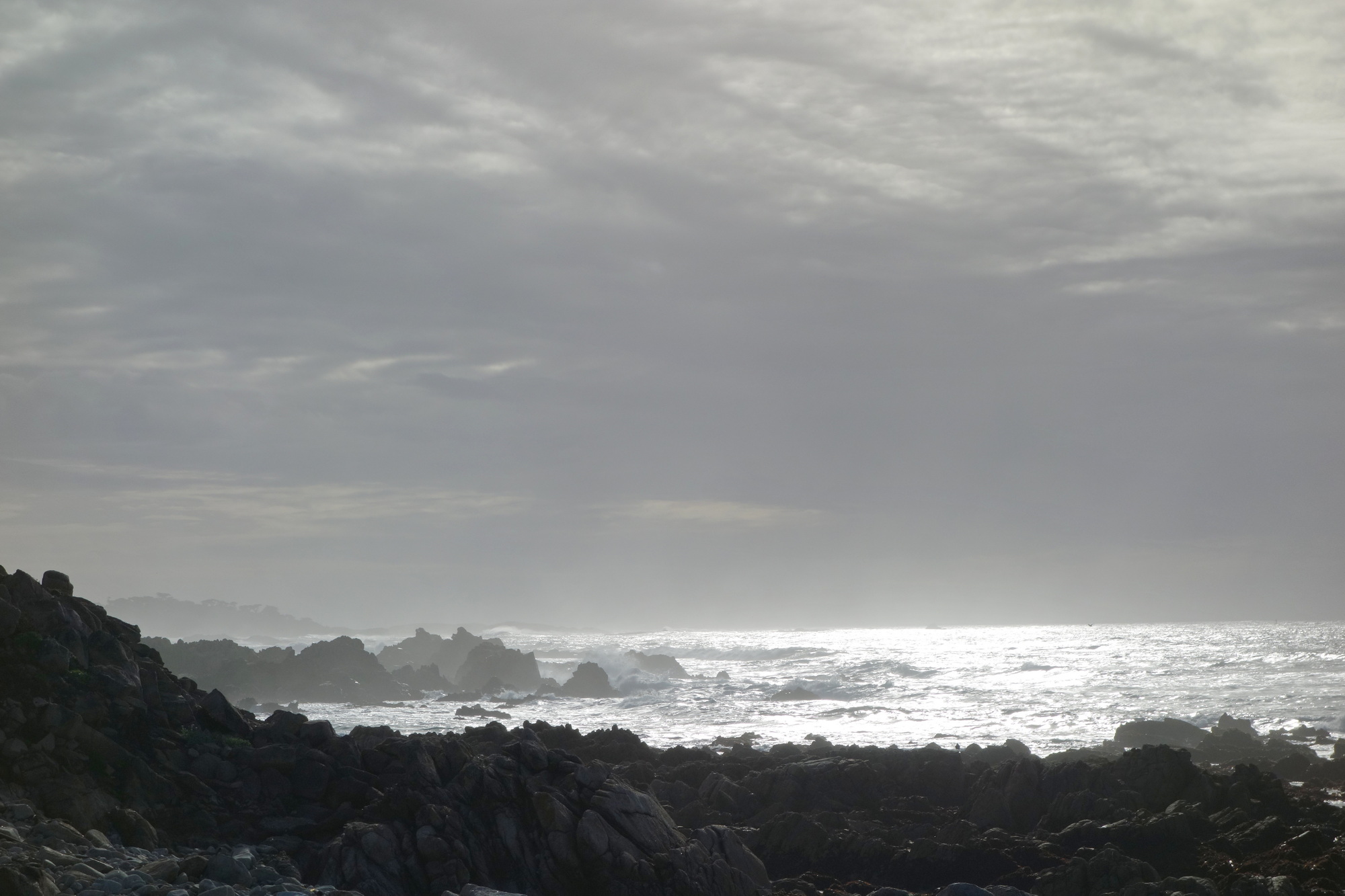 Santa Cruz & San Francisco (5)