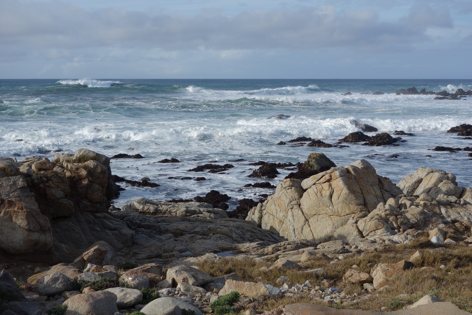Santa Cruz & San Francisco (6)