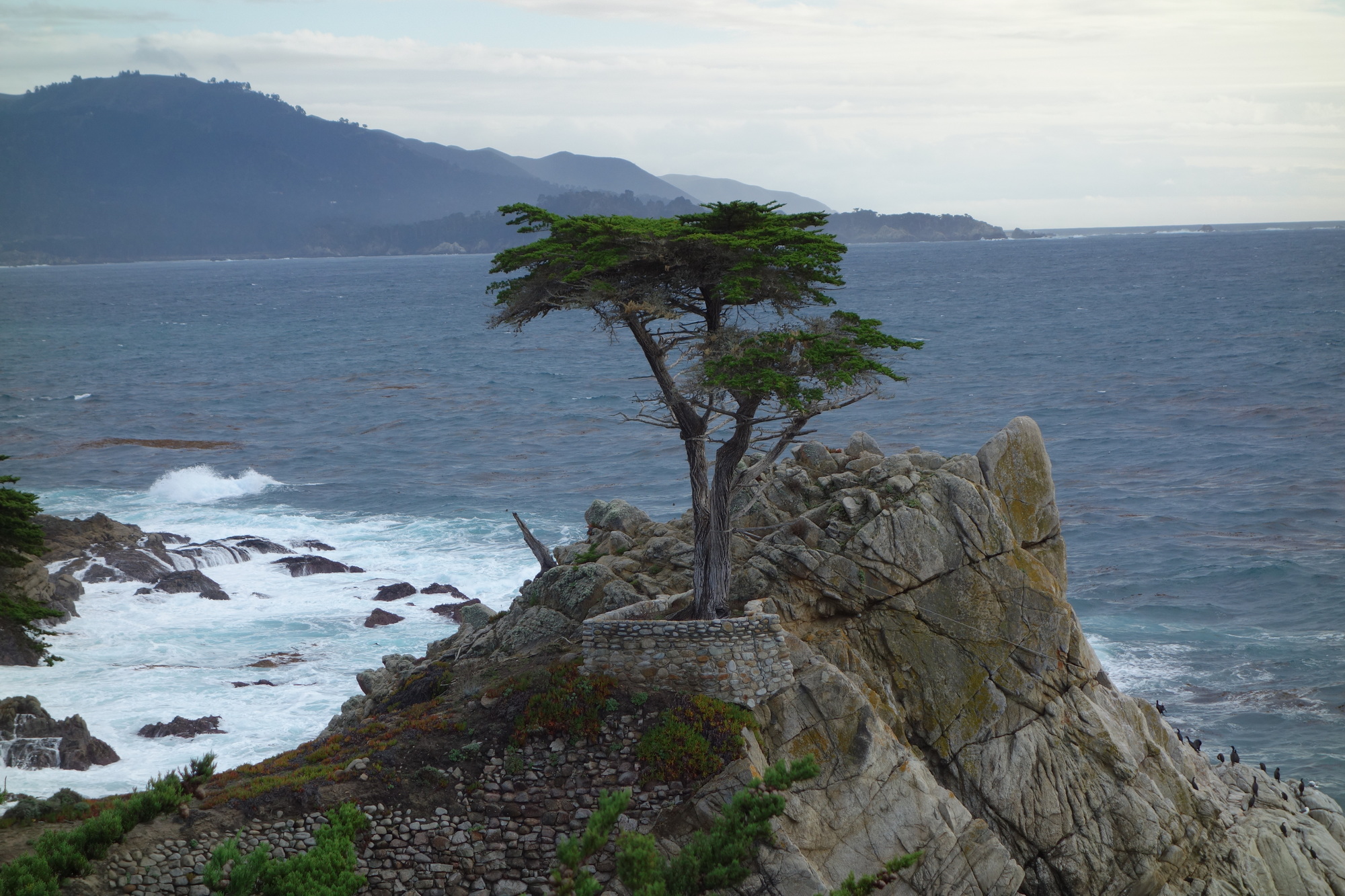 Santa Cruz & San Francisco (9)