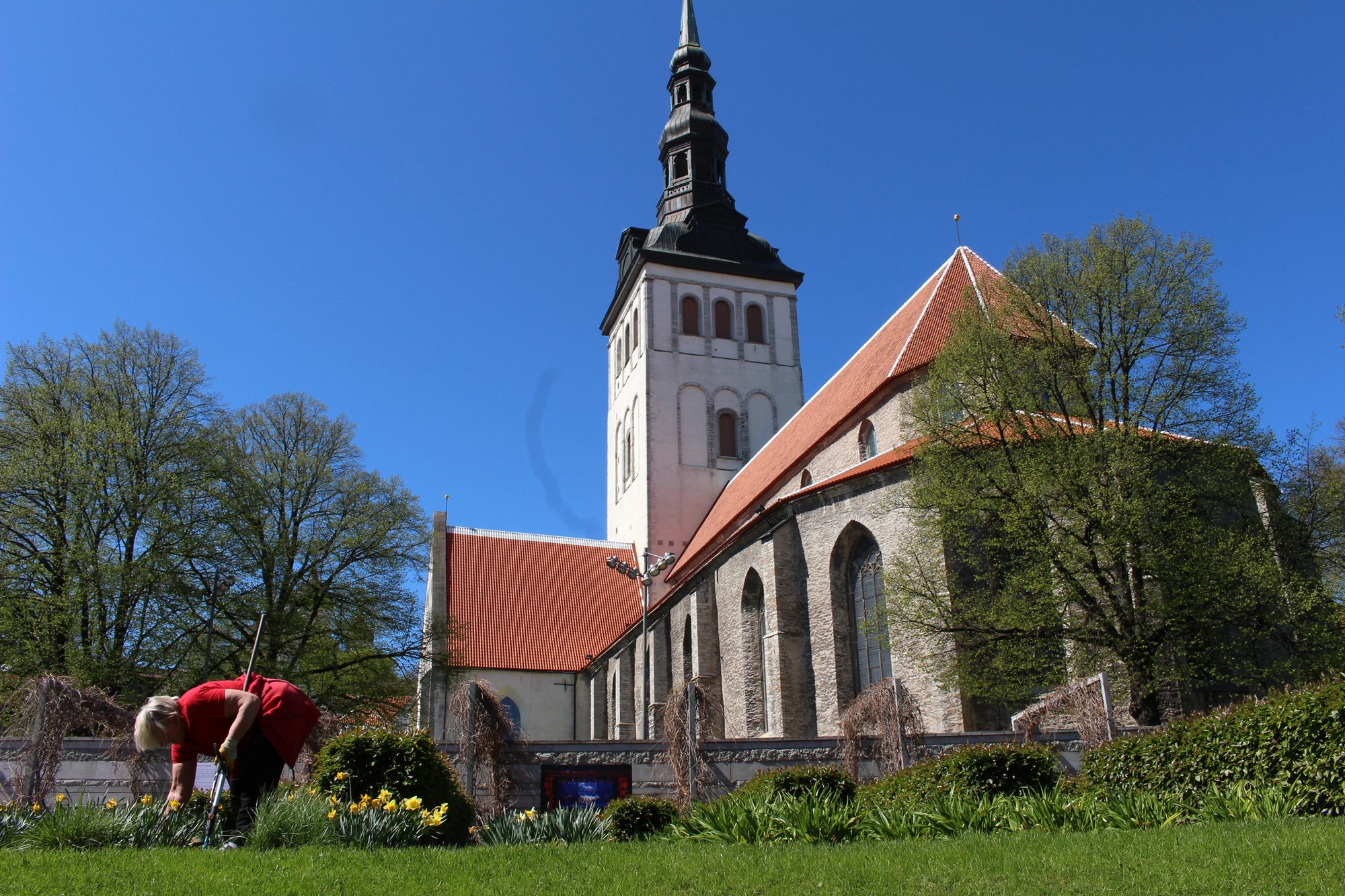 Scandinavian Europe (102)