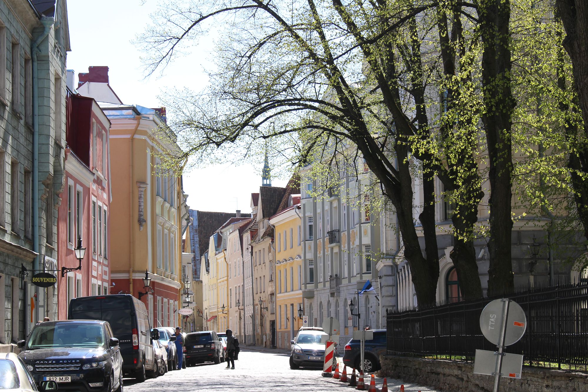 Scandinavian Europe (109)
