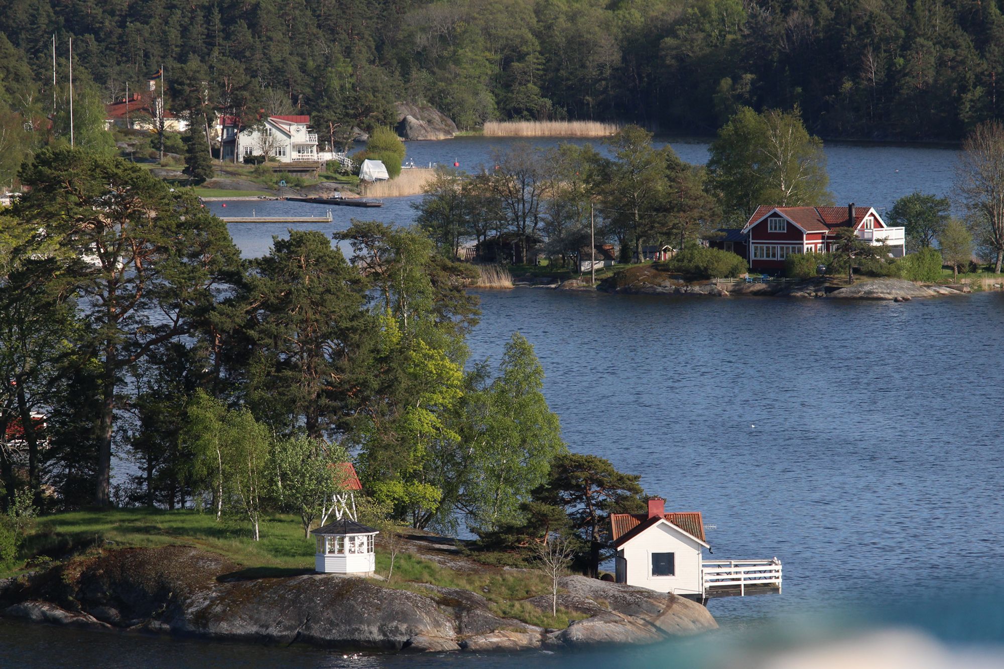 Scandinavian Europe (89)