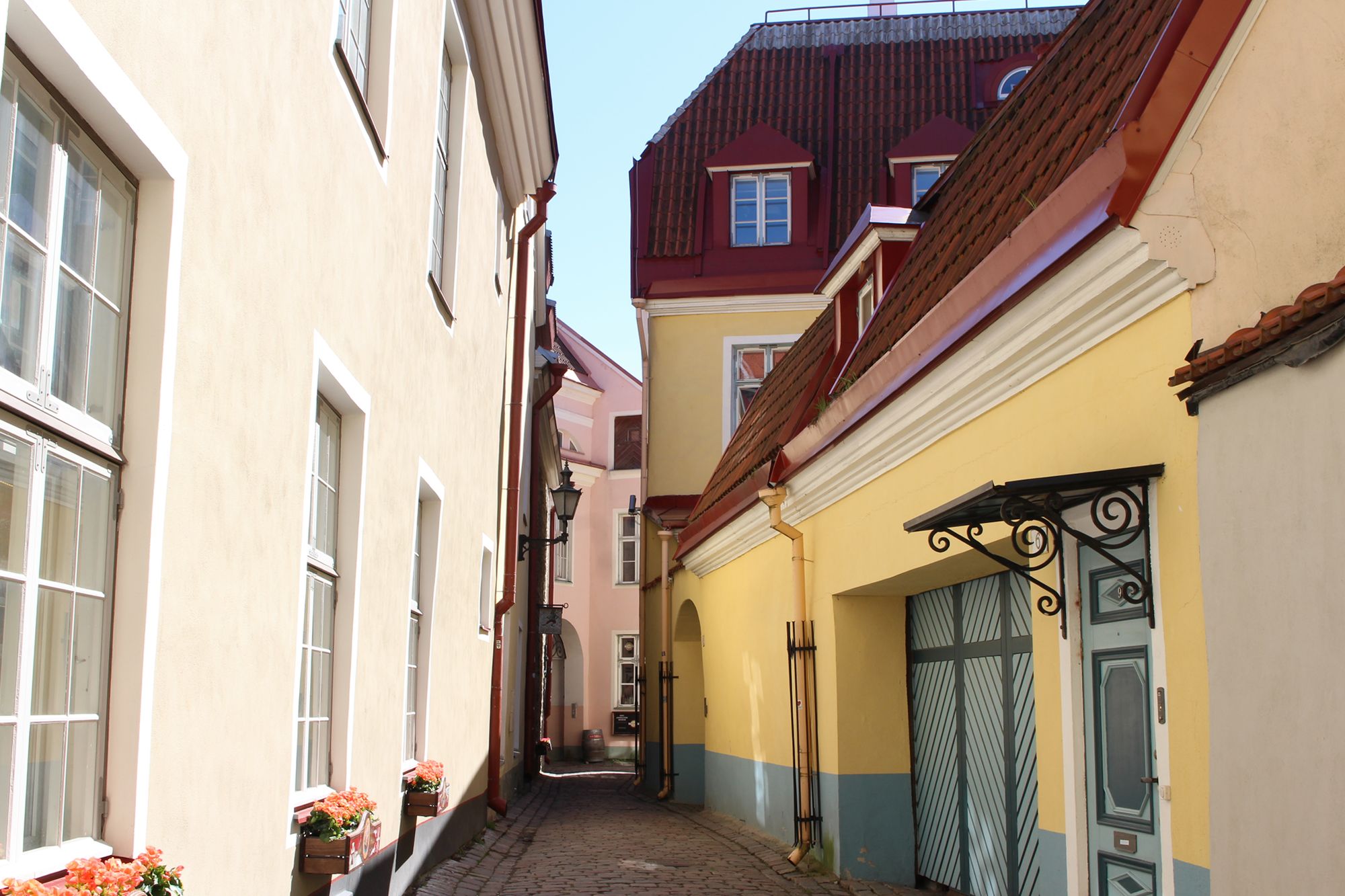 Scandinavian Europe (96)