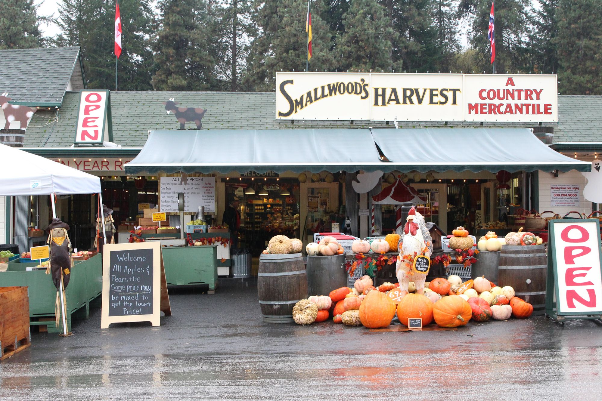 Seattle Trip (34)