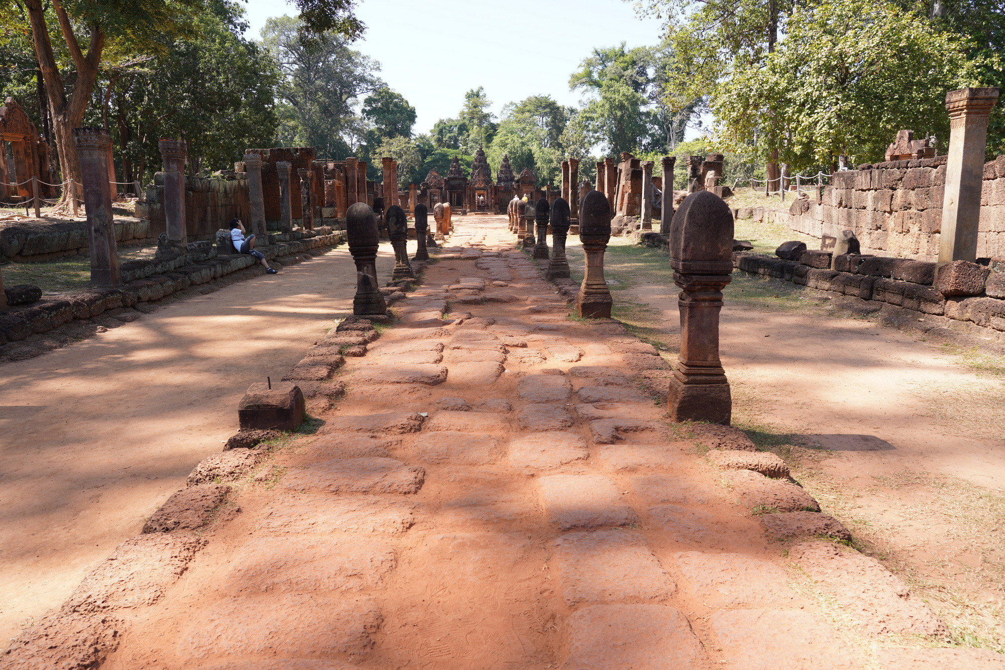 Siam Reap - Hindu Temples (8)