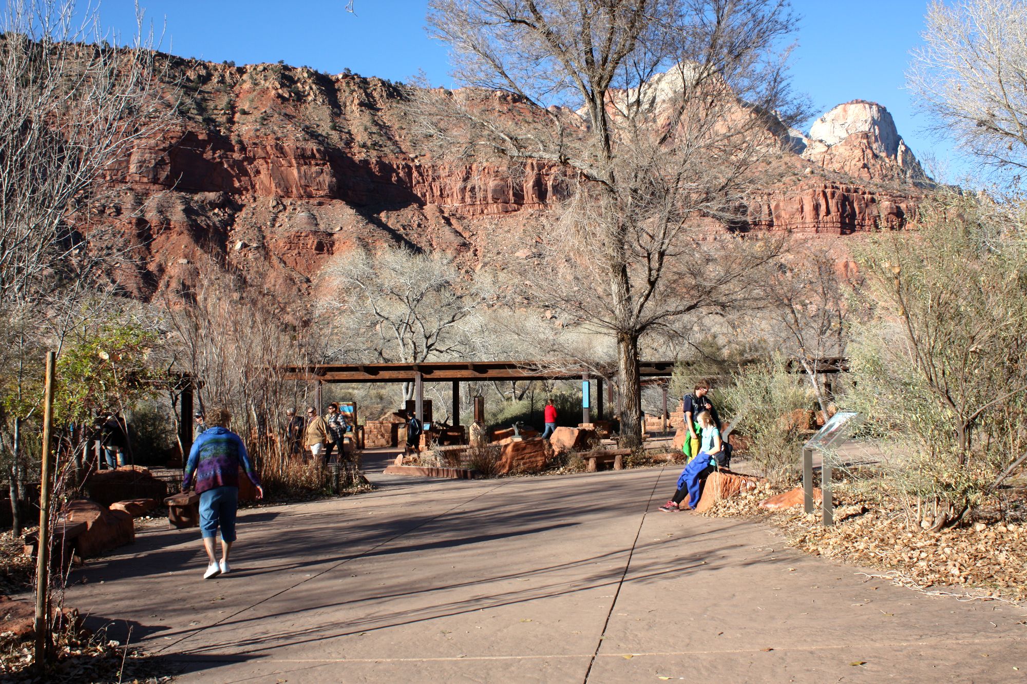 Zion Canyon (1)