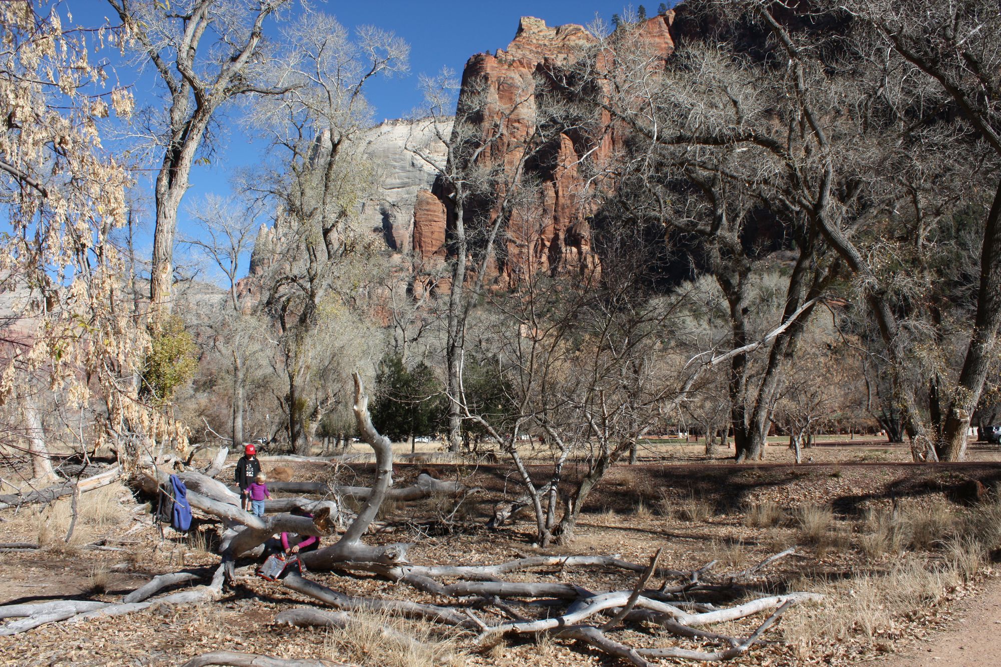Zion Canyon (15)