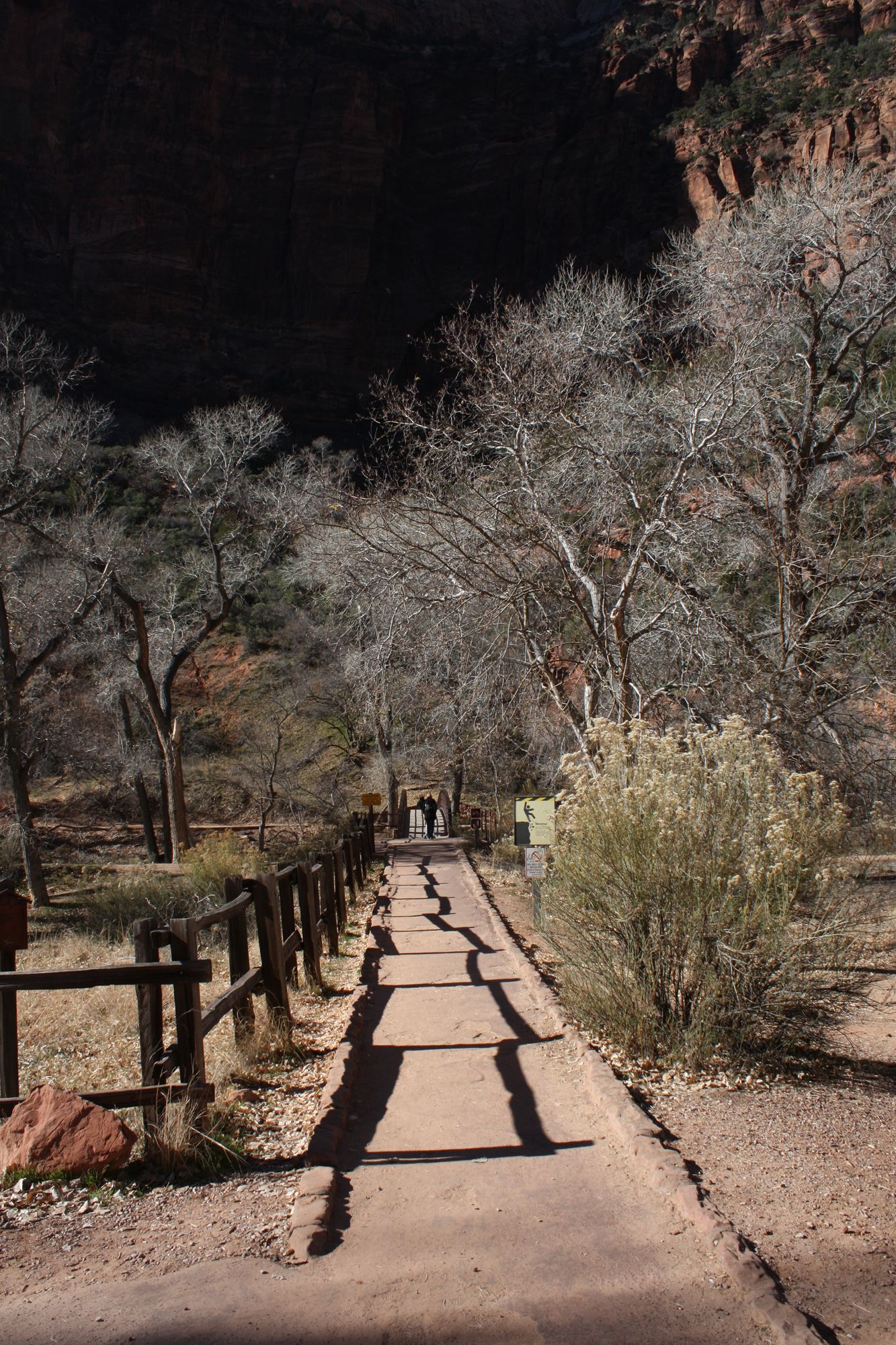 Zion Canyon (16)