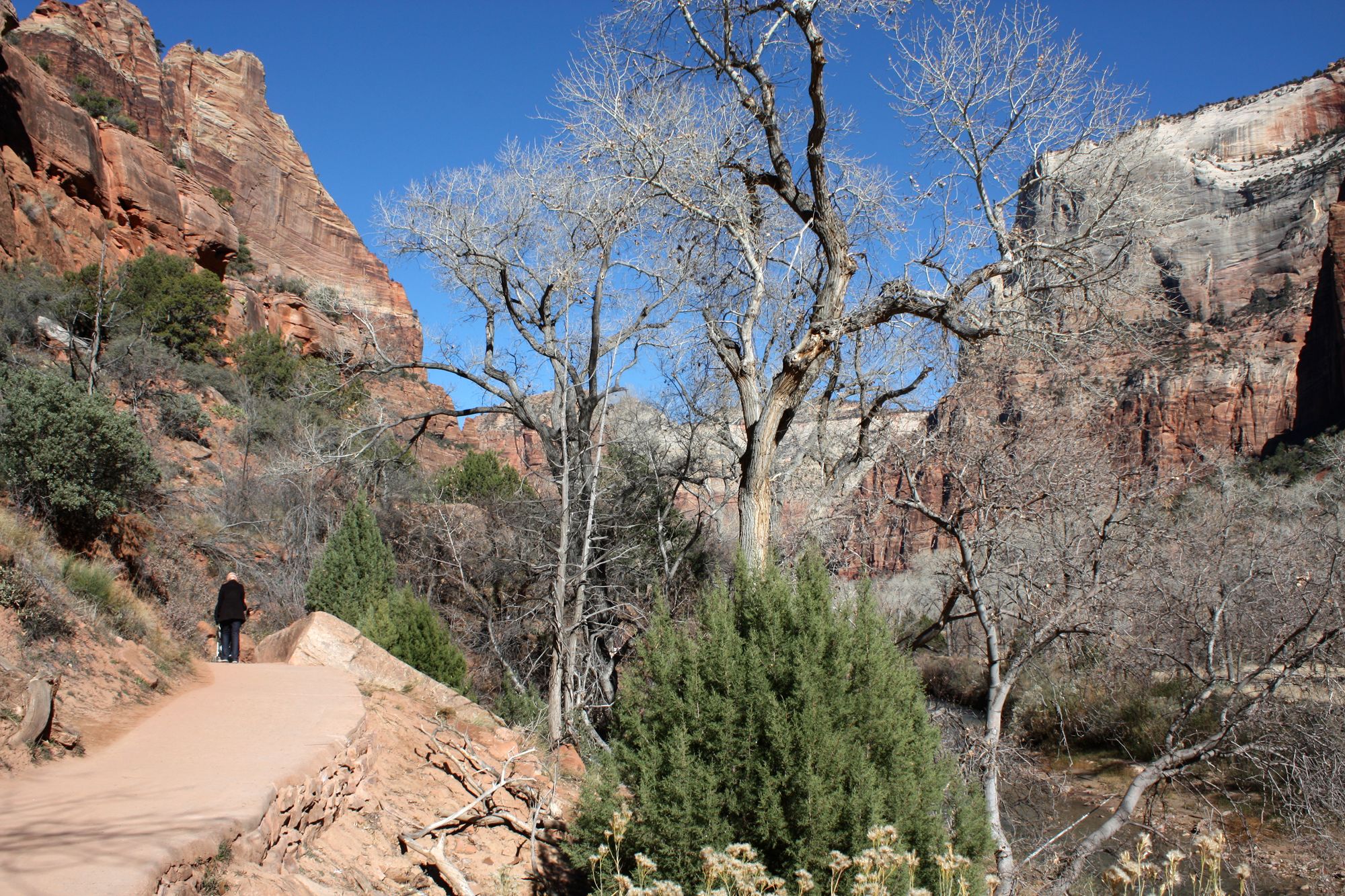 Zion Canyon (17)