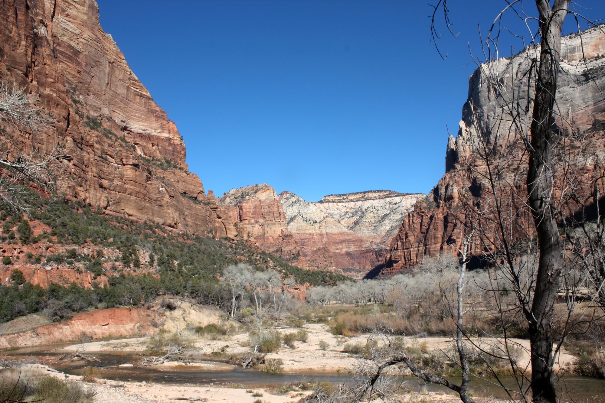 Zion Canyon (18)