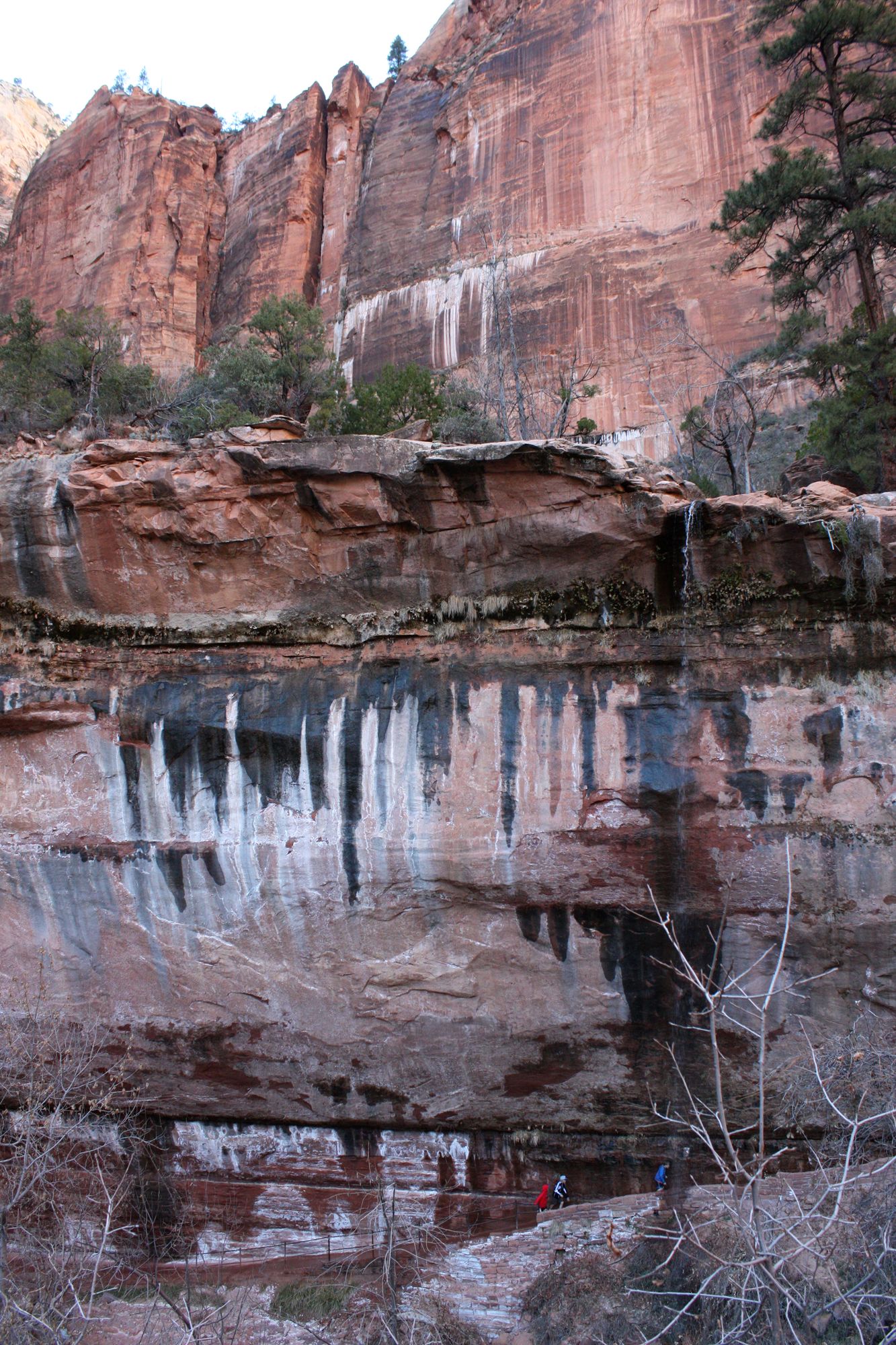 Zion Canyon (19)