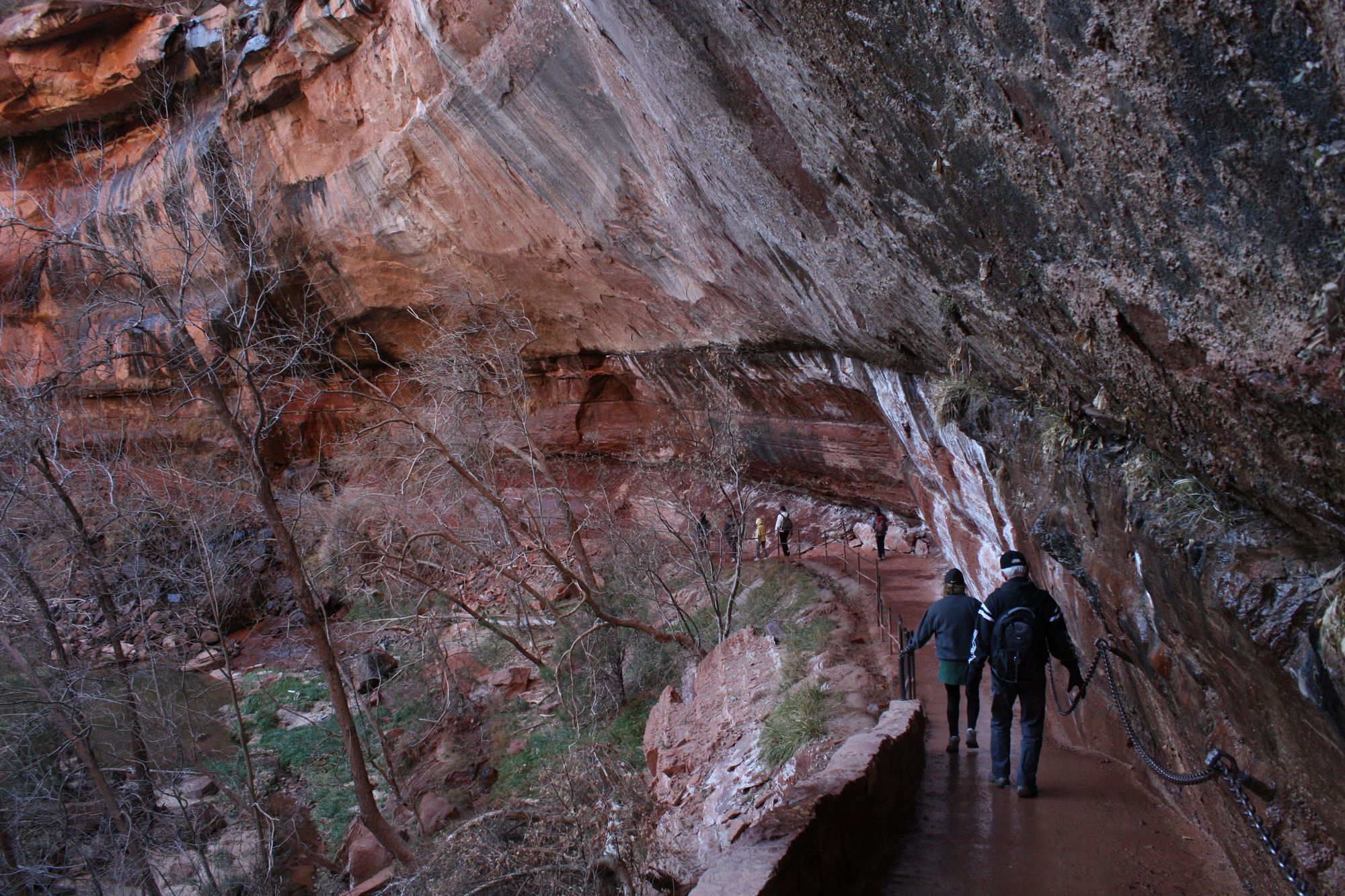 Zion Canyon (20)