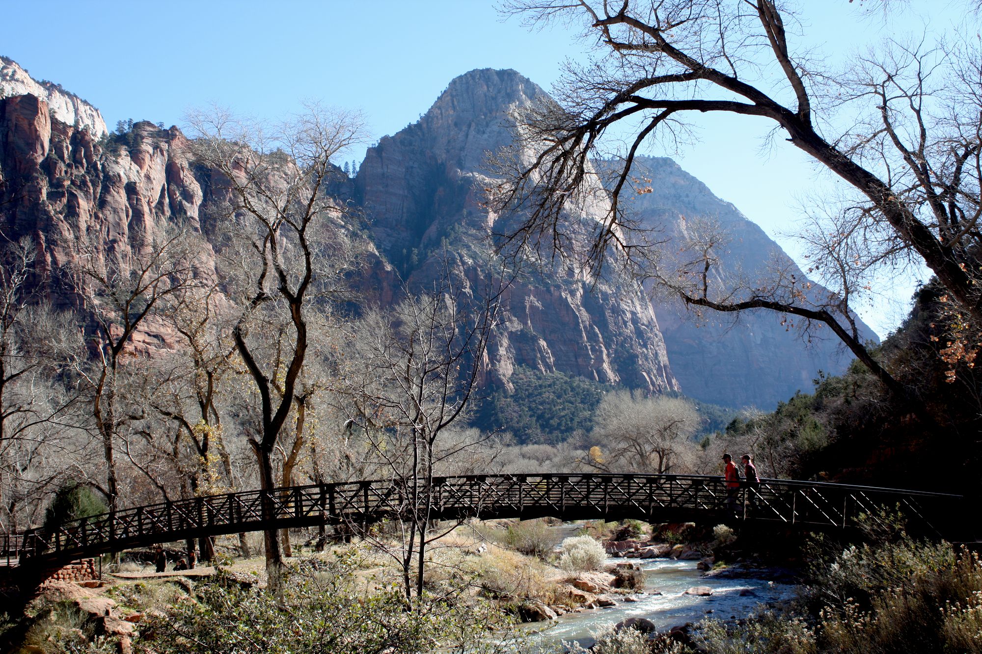 Zion Canyon (21)